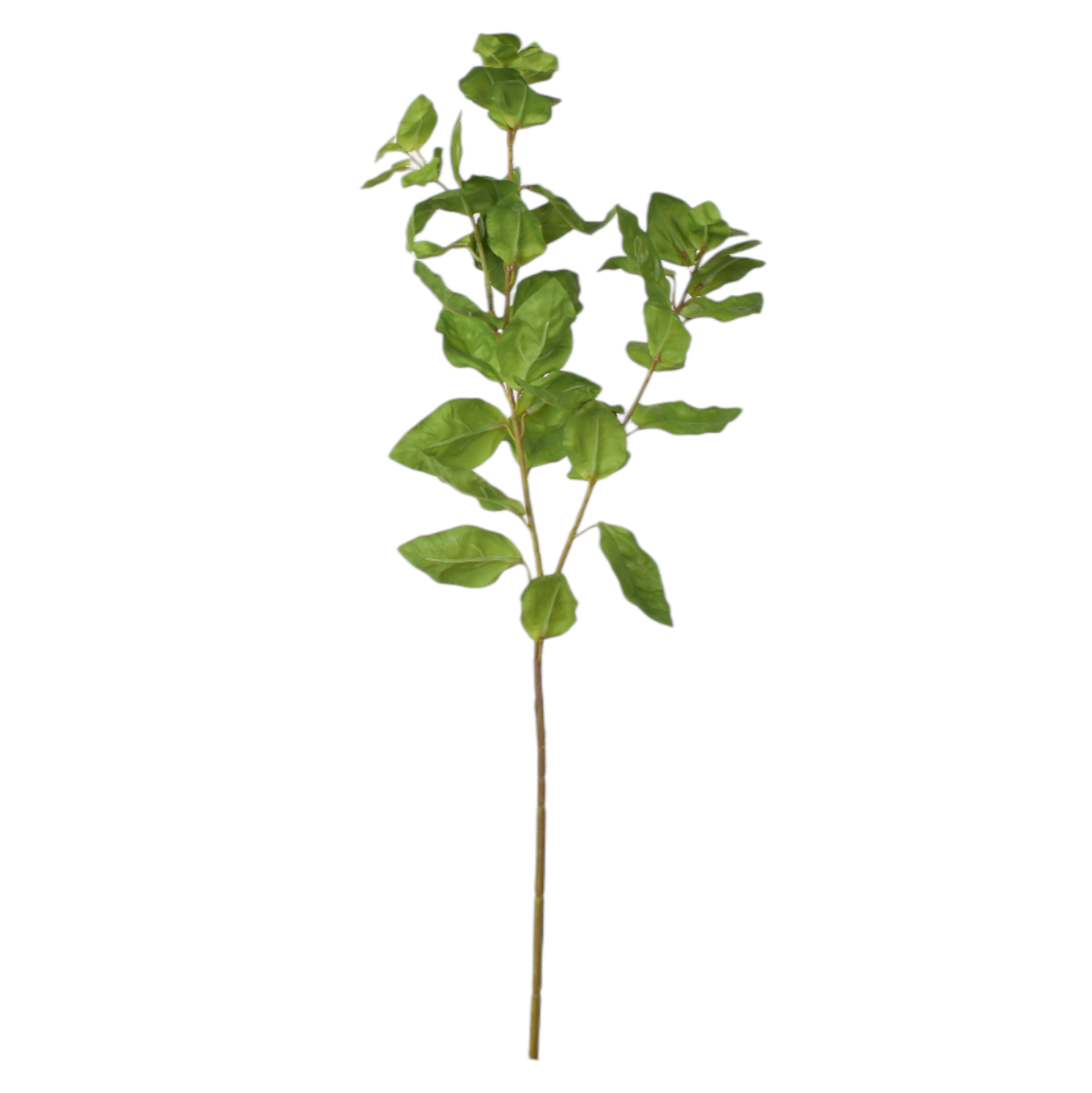 24.5" Green Leaf Branch  ST1184