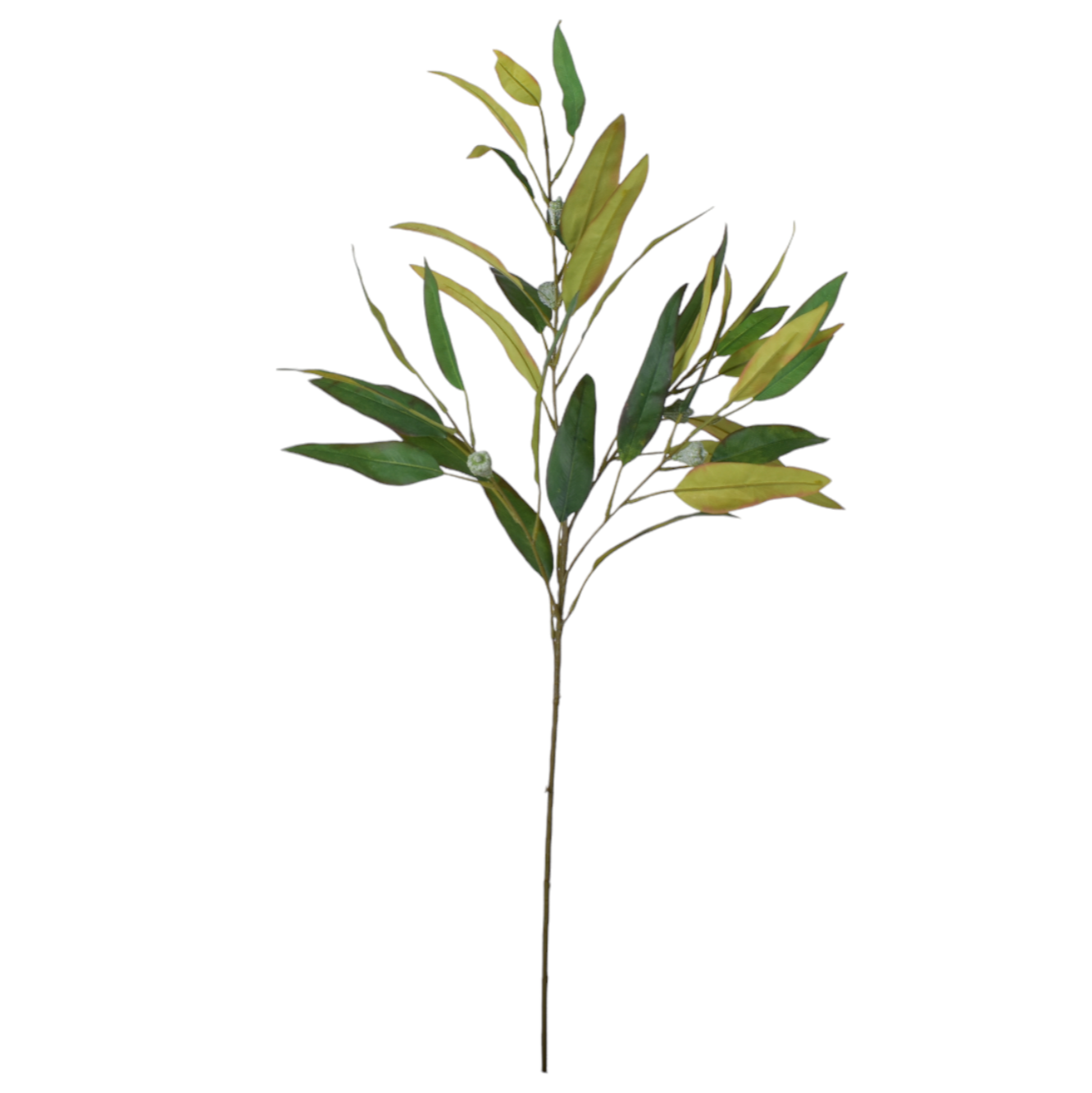 29.5" Eucalyptus Branch  ST1186