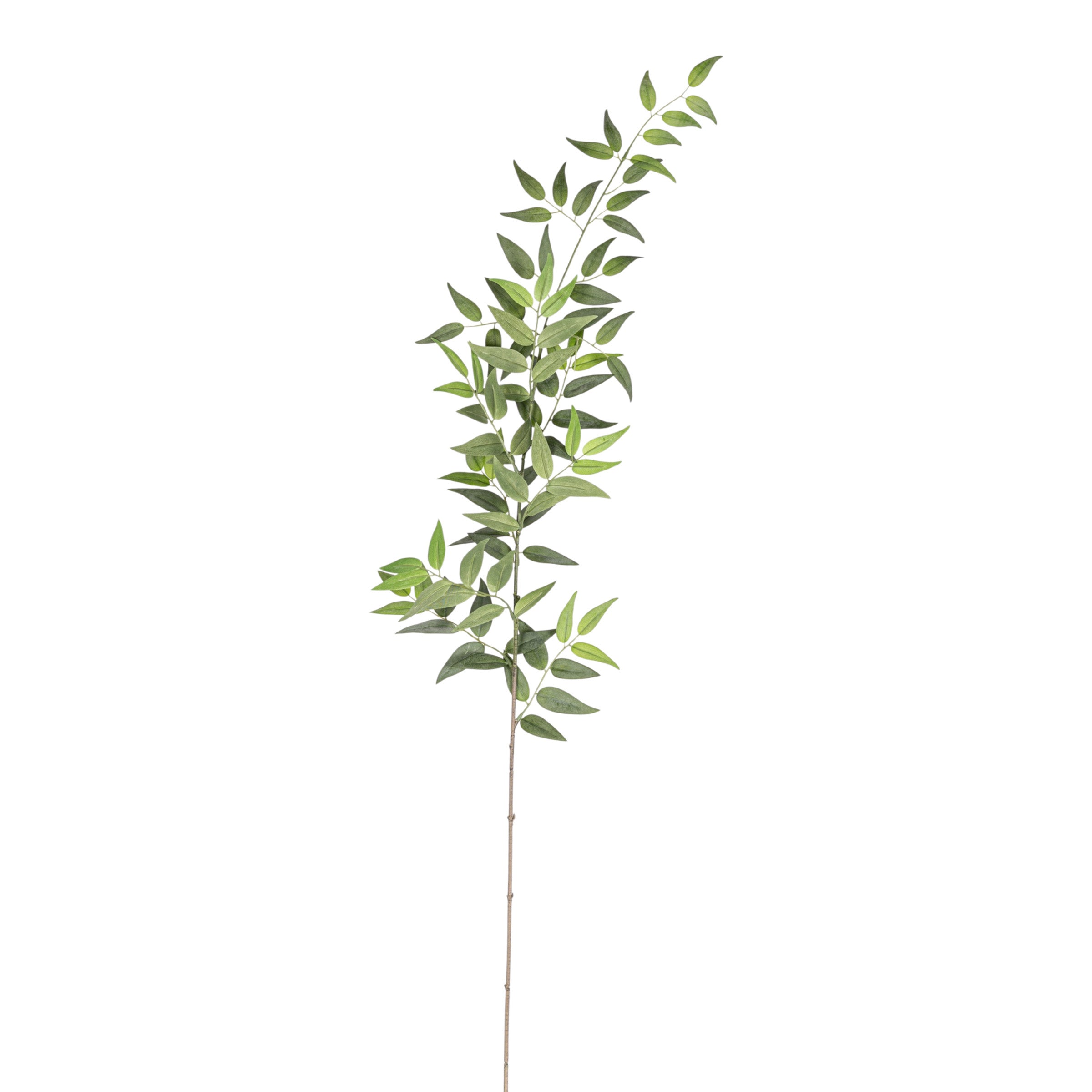 44" Italian Ruscus Stem - UV Treated   ST1196UV