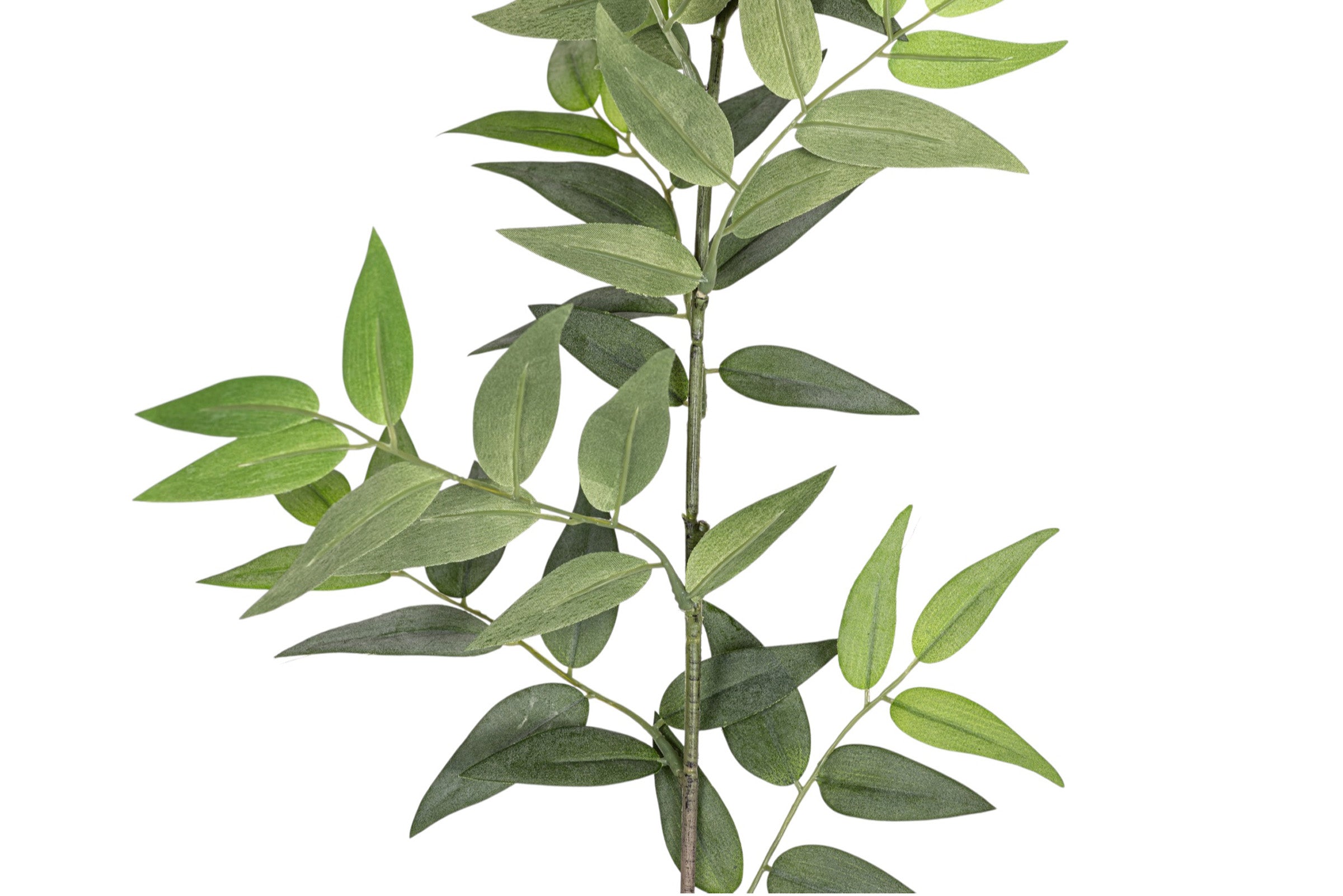 44" Italian Ruscus Stem - UV Treated   ST1196UV