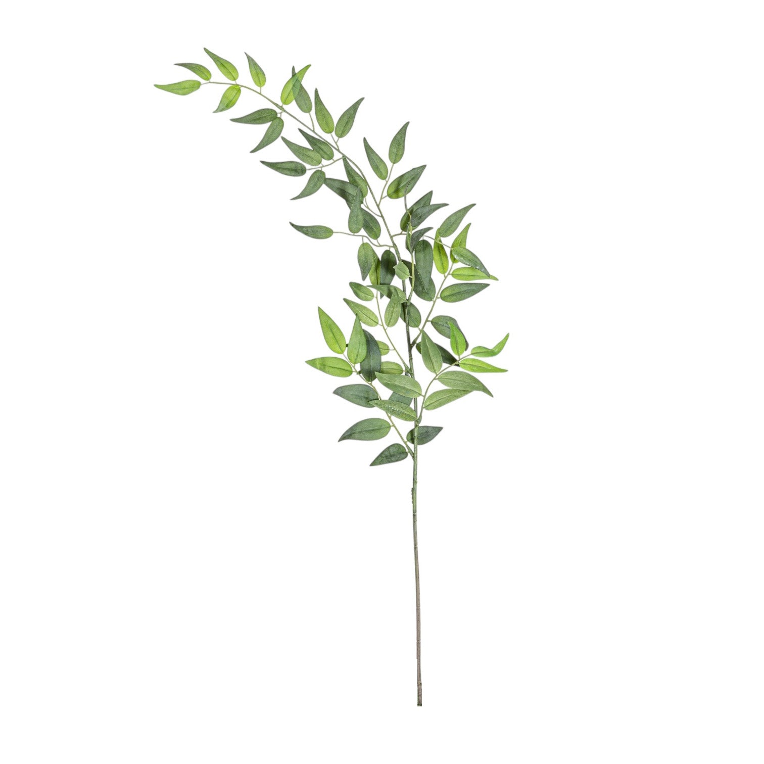 36" Italian Ruscus - UV Treated   ST1197UV