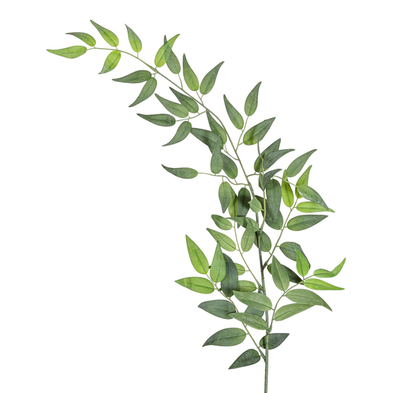 36" Italian Ruscus - UV Treated   ST1197UV