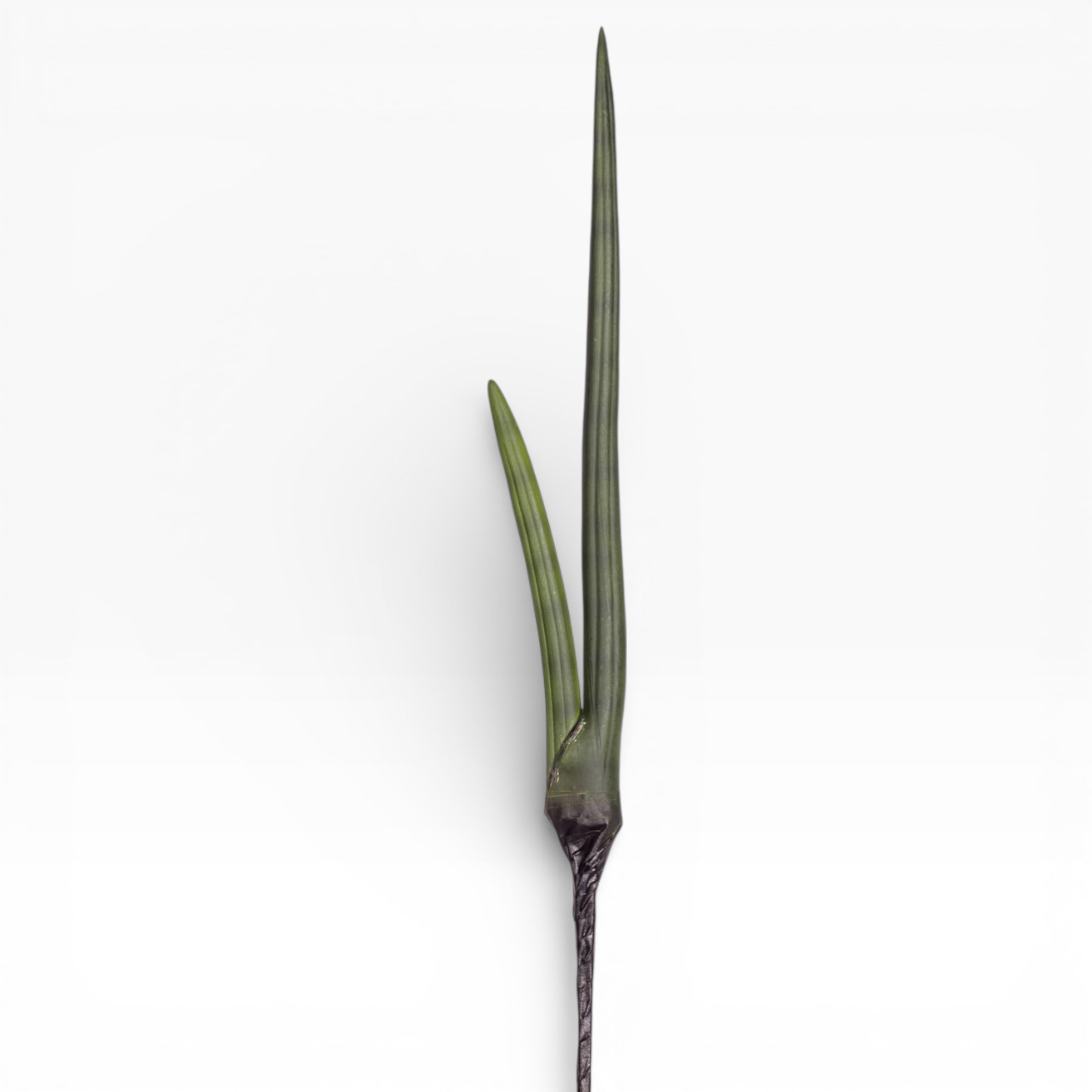 20.5" Sanseveria Stem    ST1197