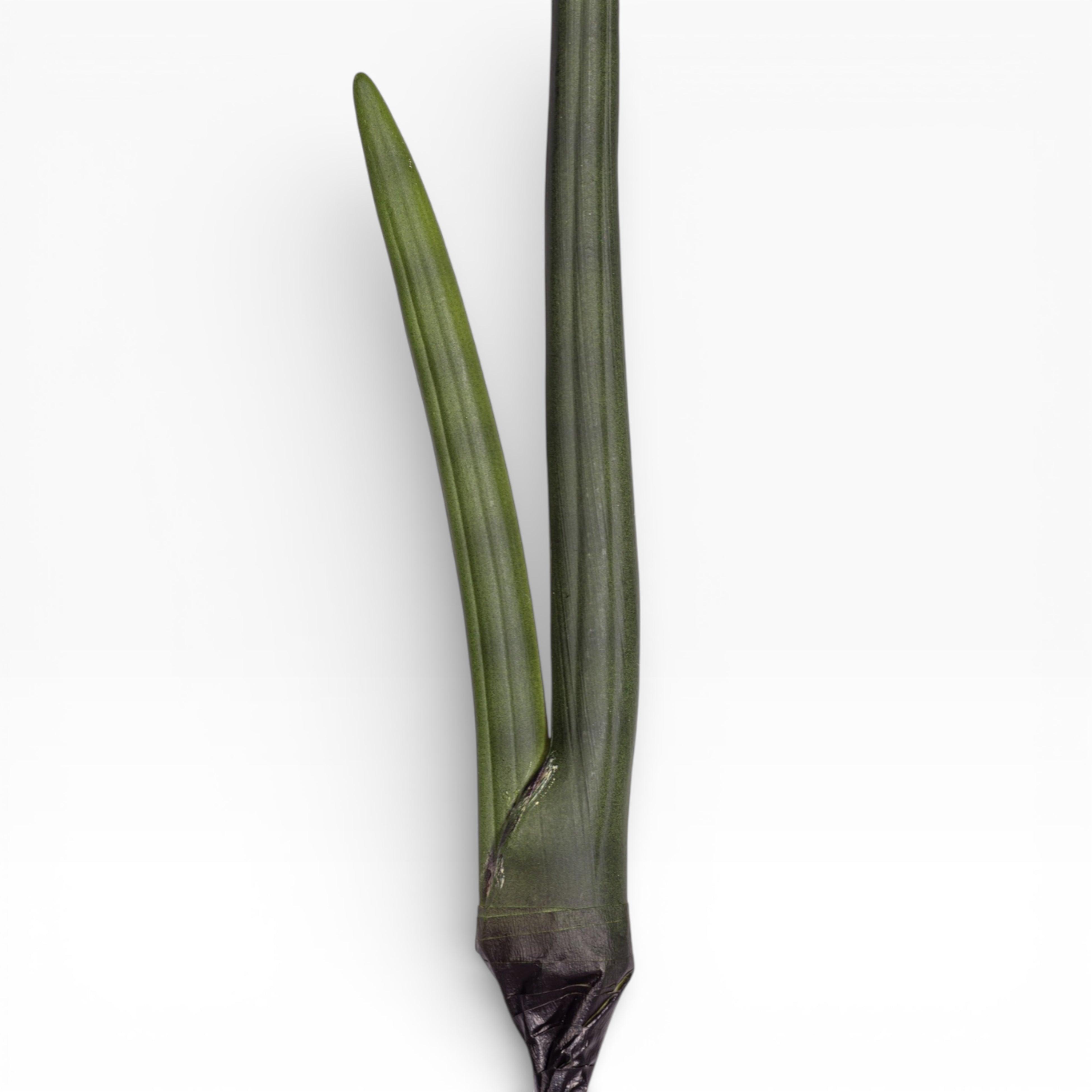 20.5" Sanseveria Stem    ST1197