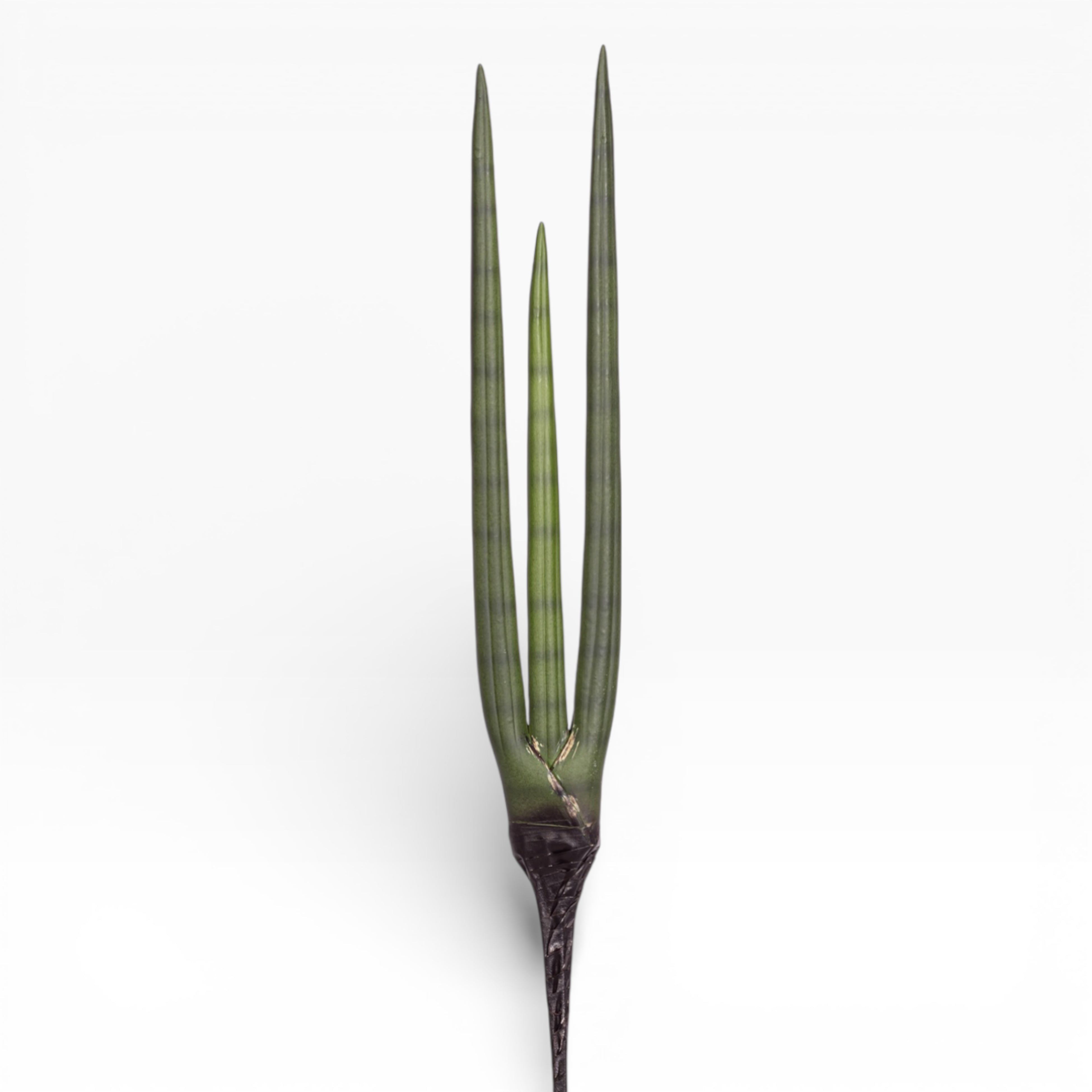 20.5" Sanseveria Stem   ST1198