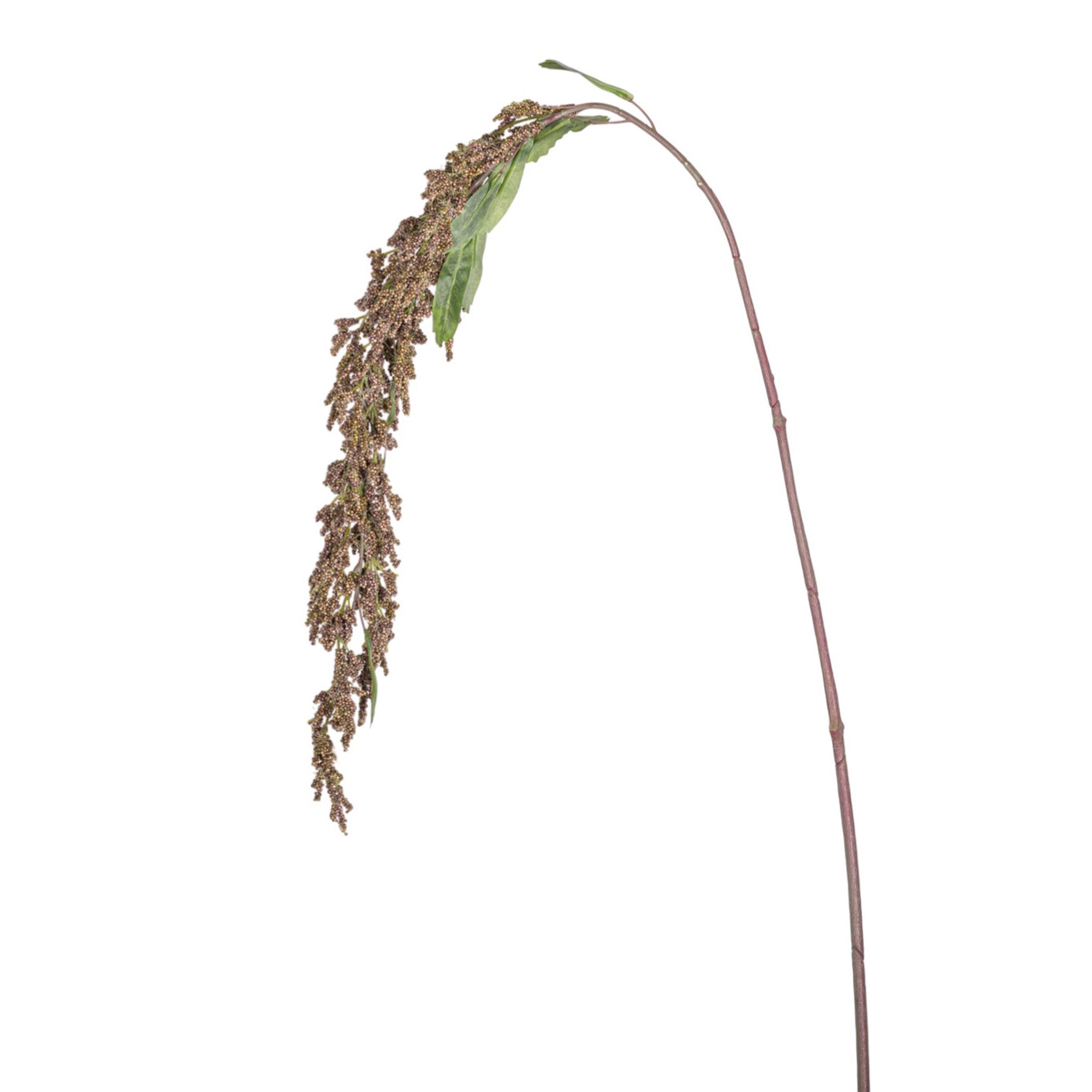 56" Amaranthus Stem - Brown   ST1201