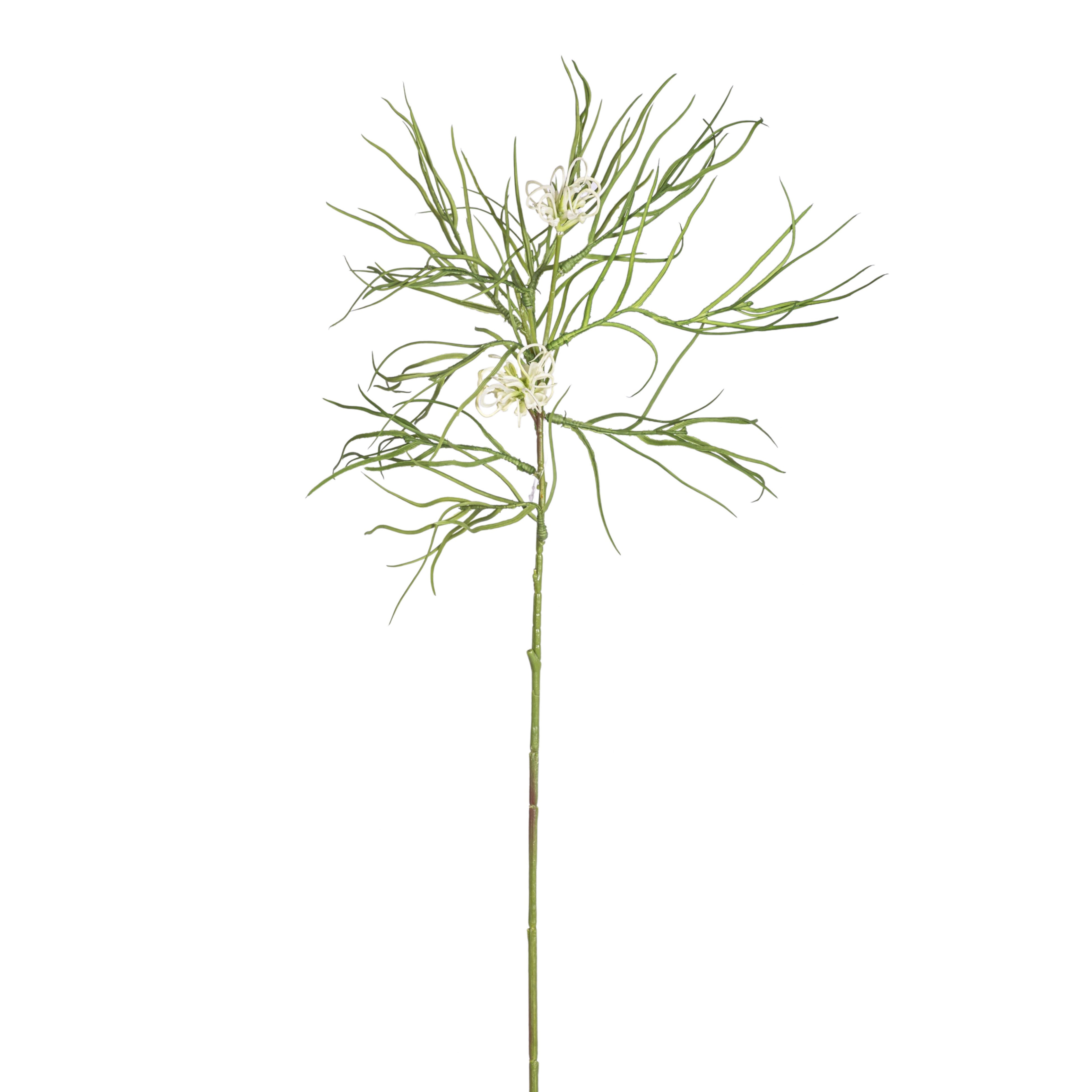 29" Spider Grevillea Stem  ST1205