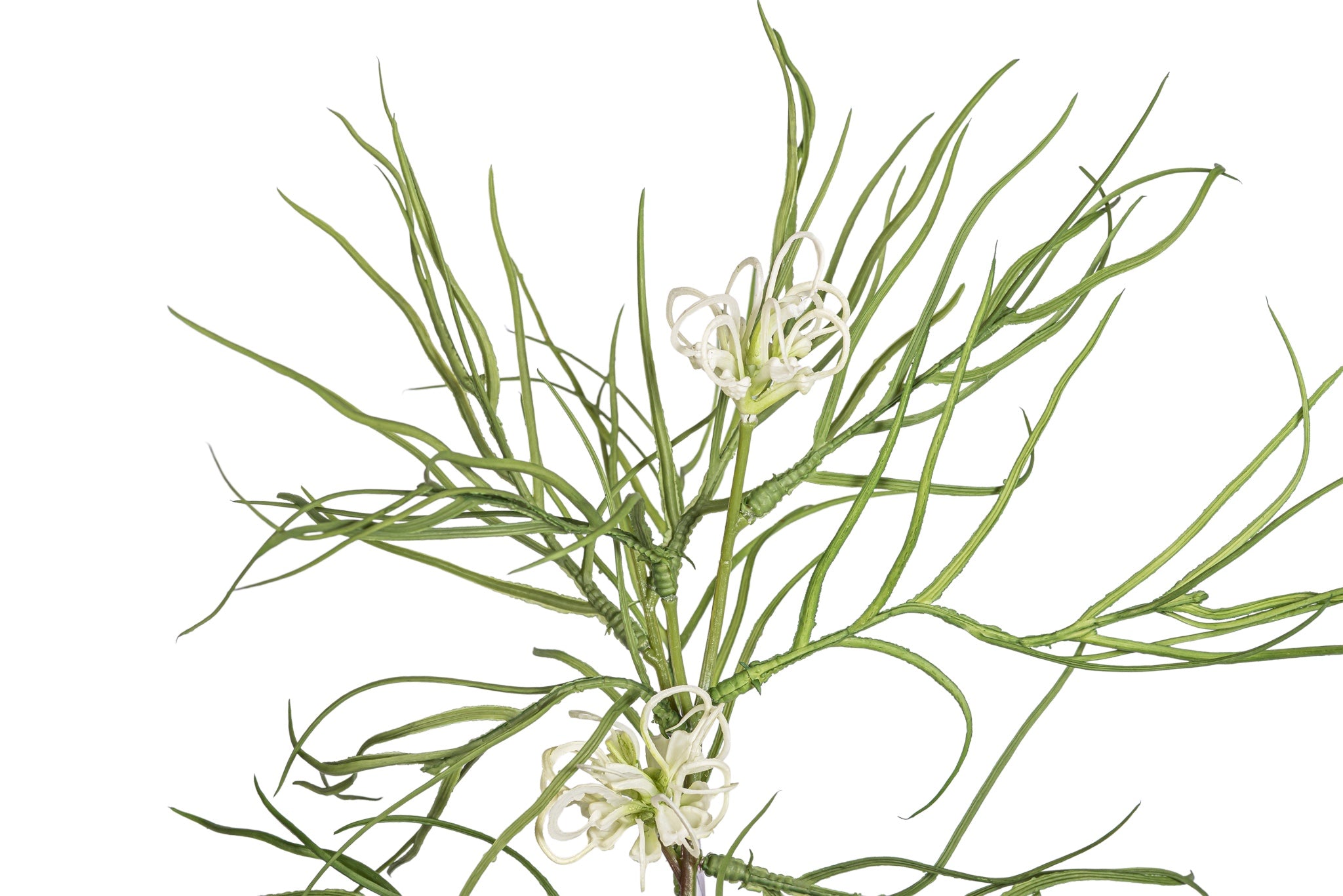 29" Spider Grevillea Stem  ST1205