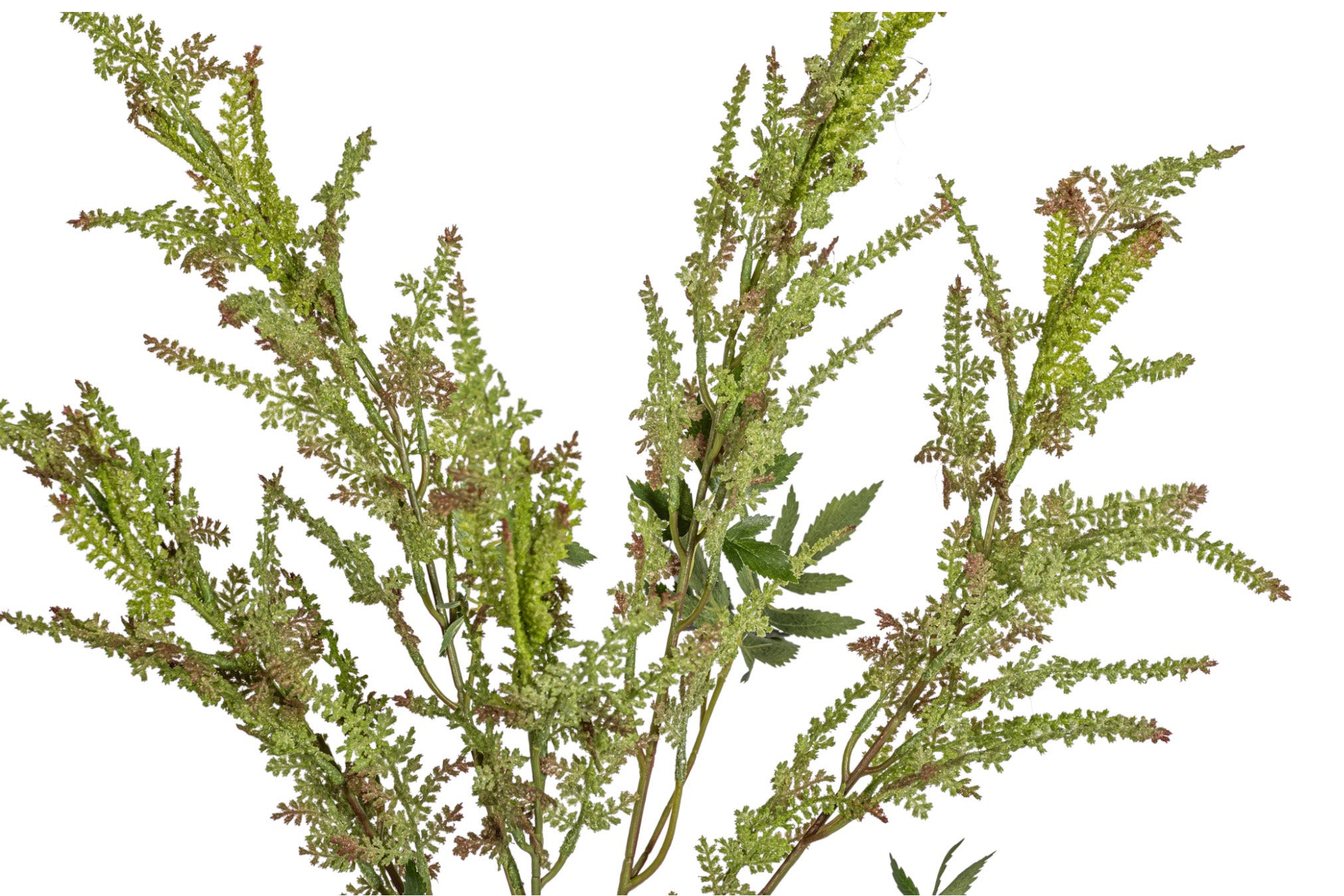 28" Meadowsweet Stem  ST1206