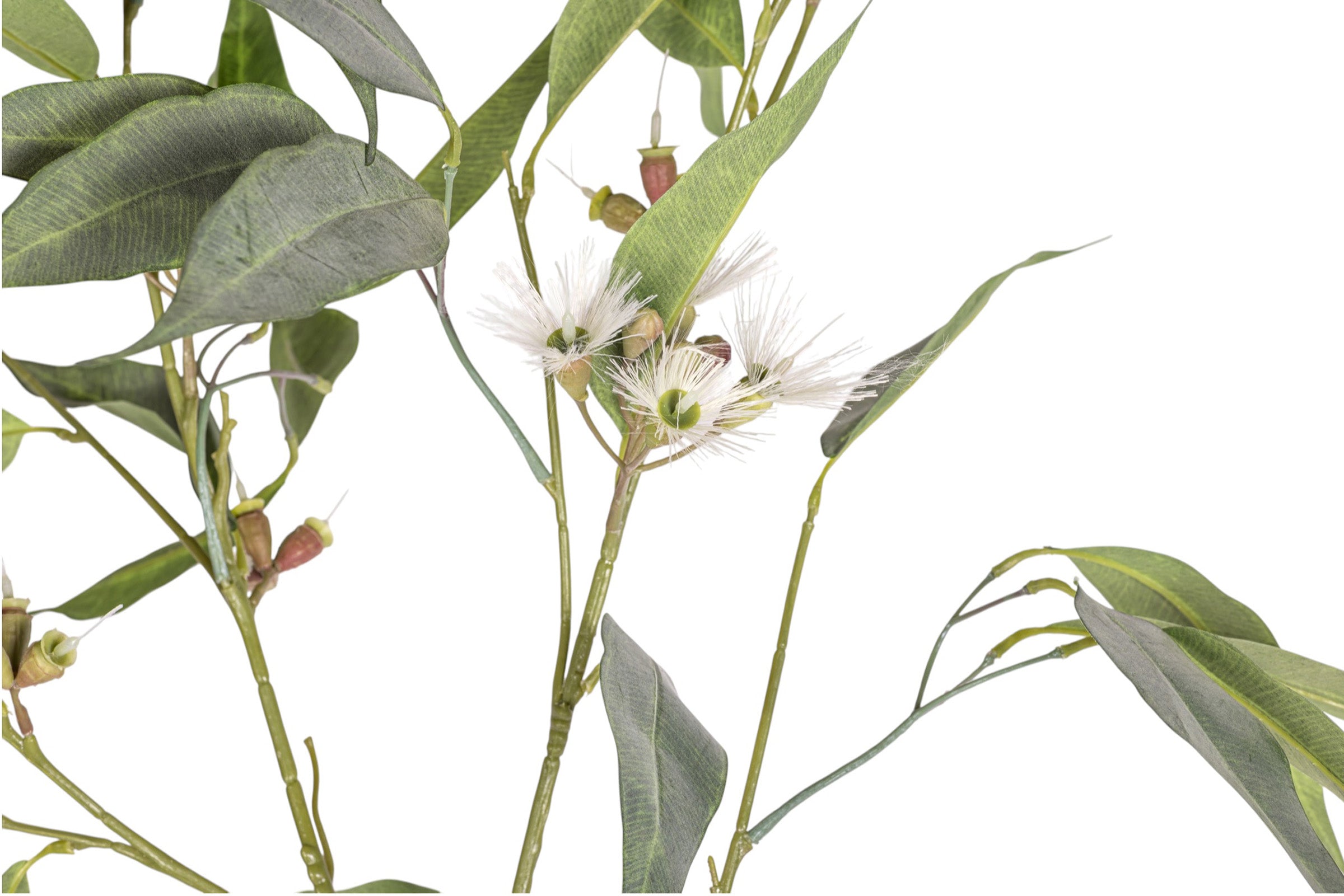 54" Eucalyptus Stem with Flowers  ST1207
