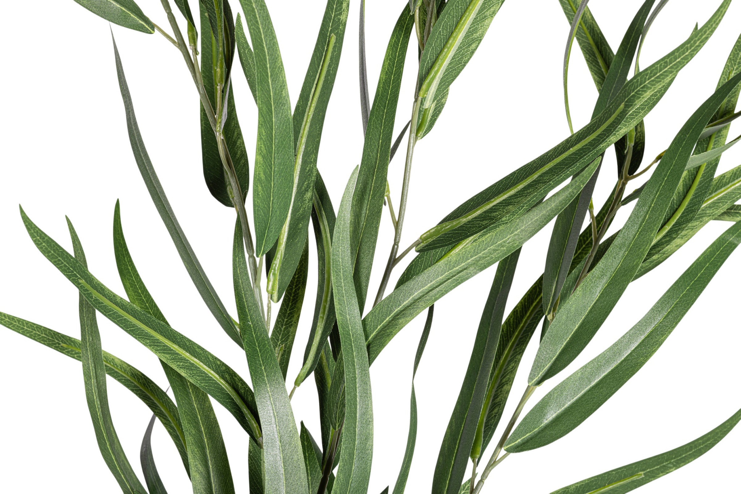 41" Sword Eucalyptus Stem  ST1208