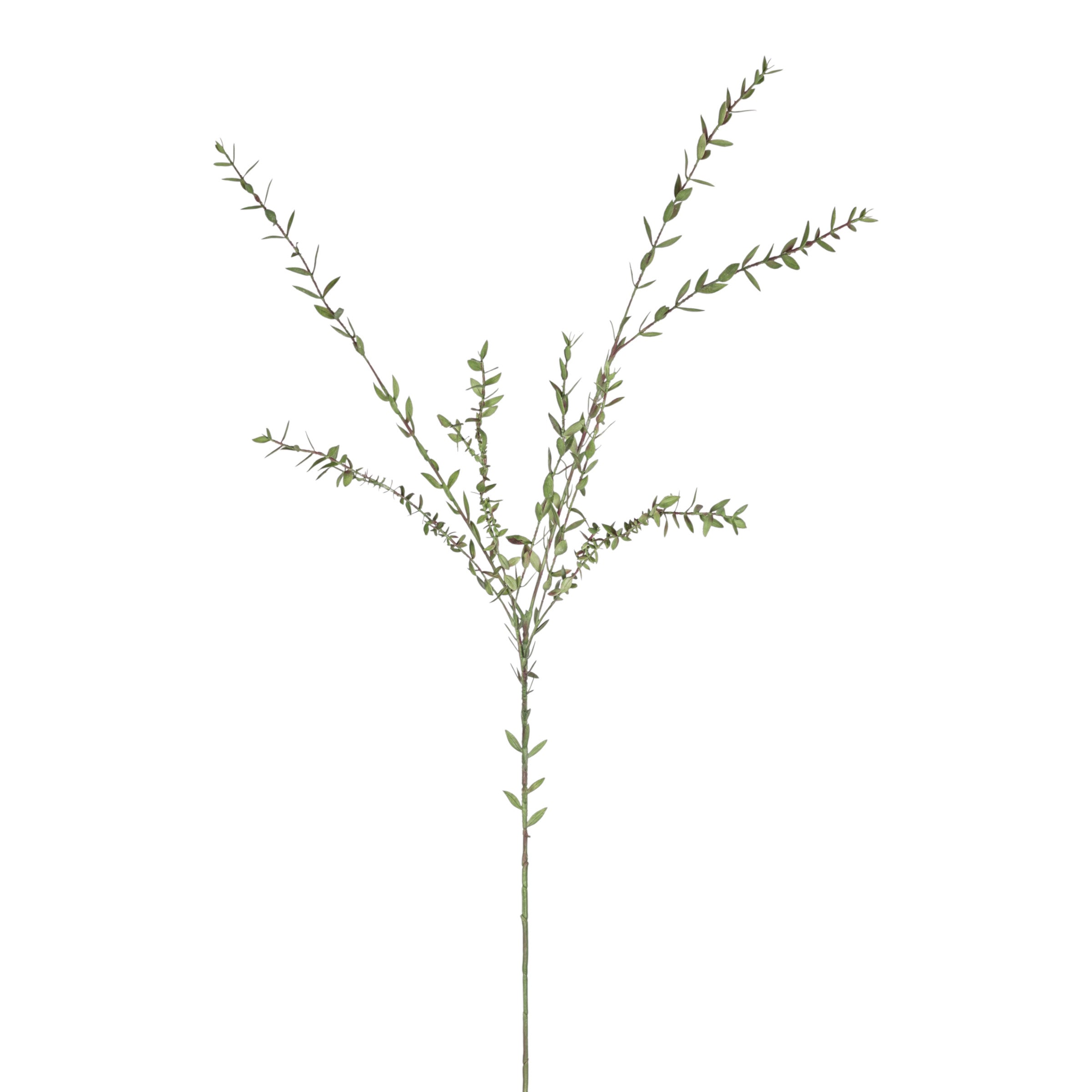 52" Eucalyptus Spray Stem   ST1218