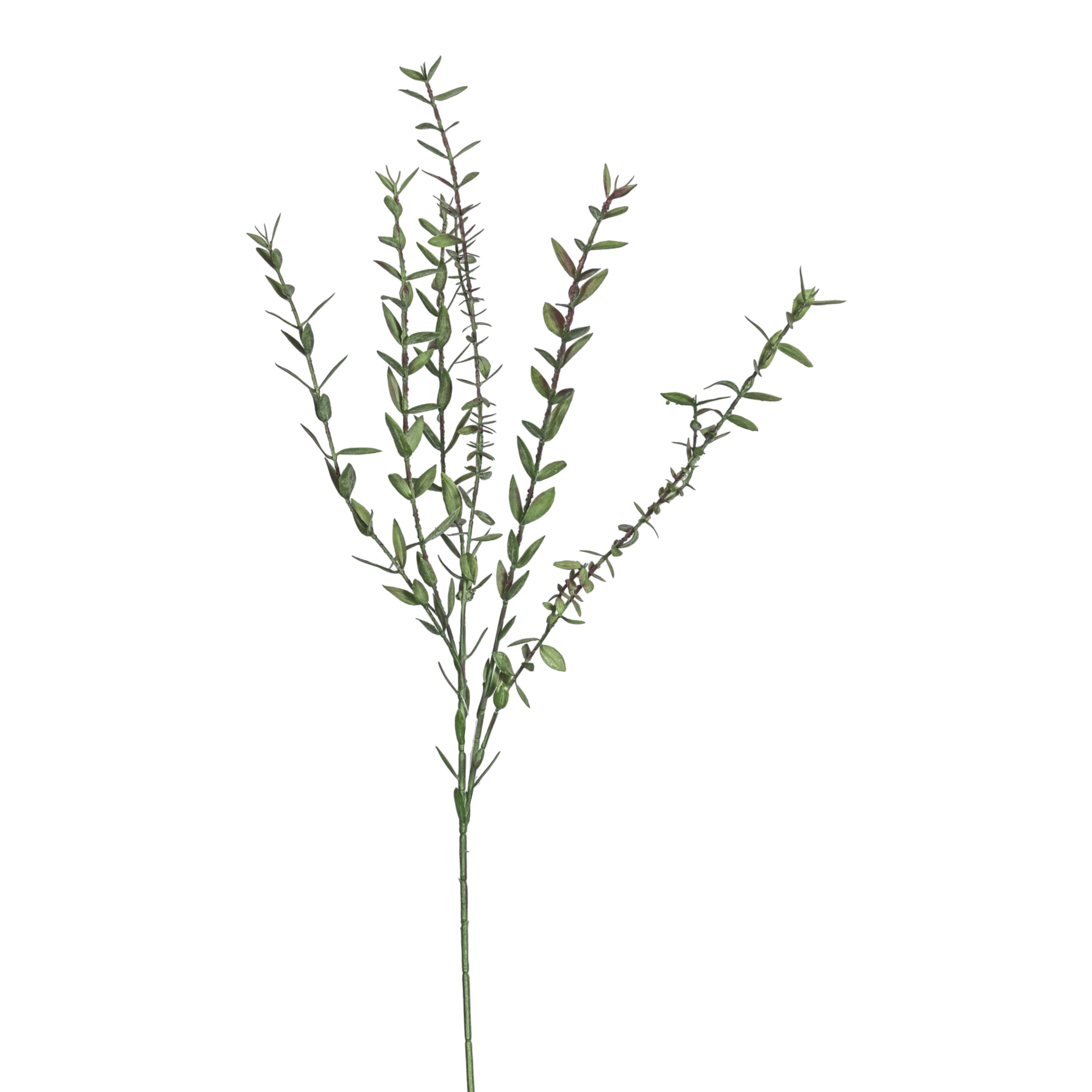 28.5" Eucalyptus Spray Stem   ST1219