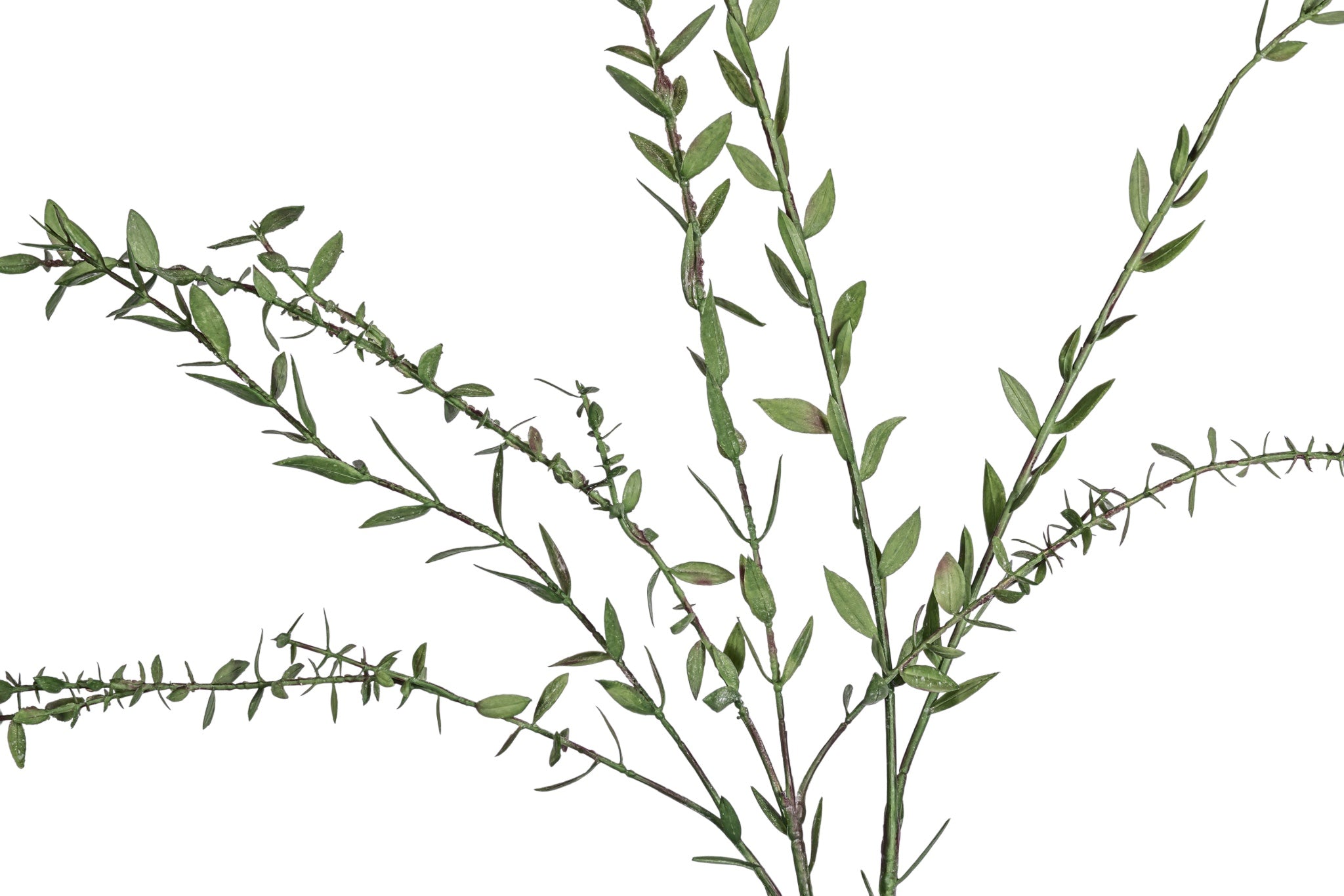 28.5" Eucalyptus Spray Stem   ST1219