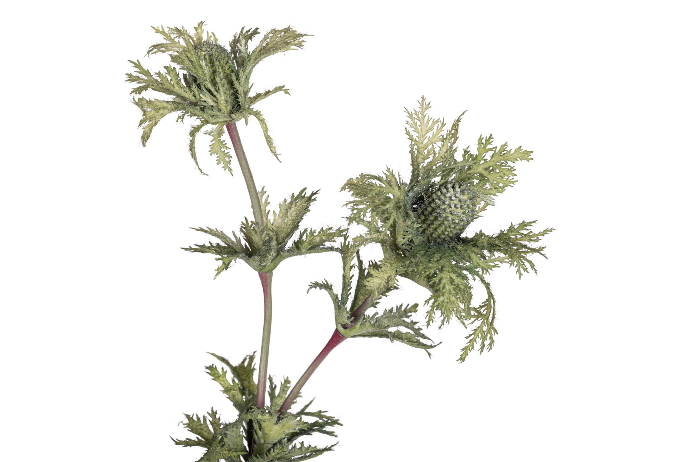 27" Thistle Spray Stem   ST1220