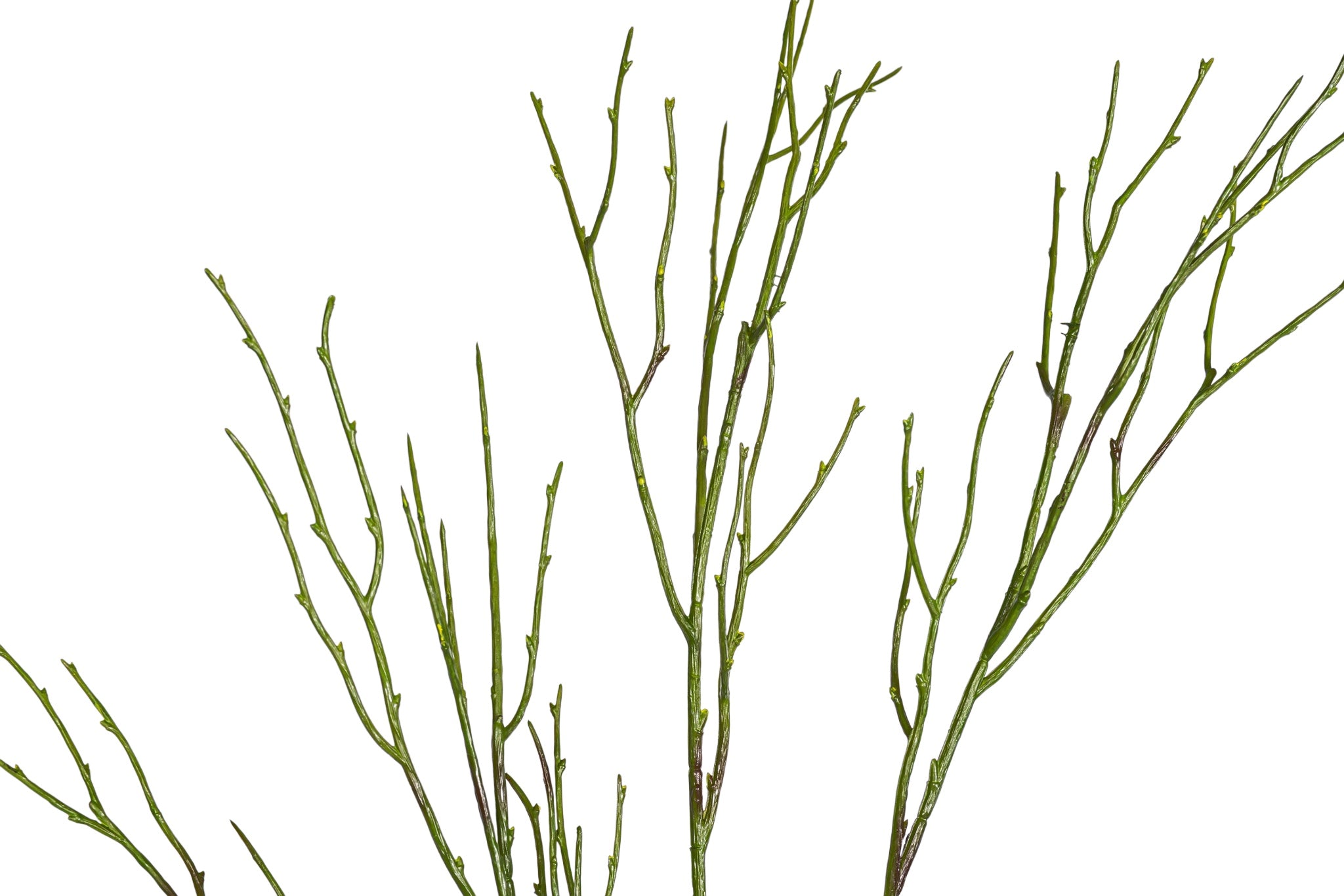 30" Pencil Stem   ST1222