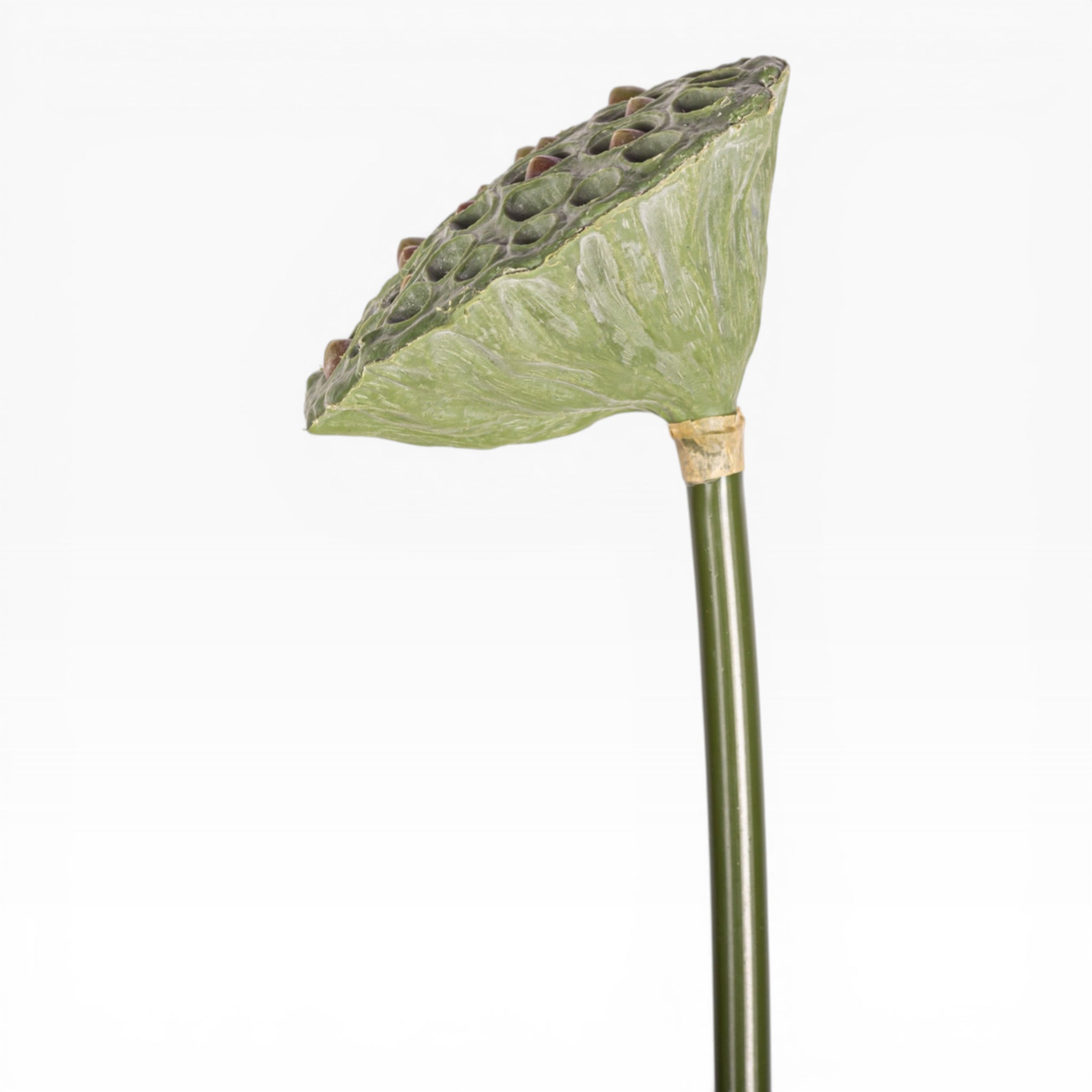 24" Lotus Seed Stem  ST1223