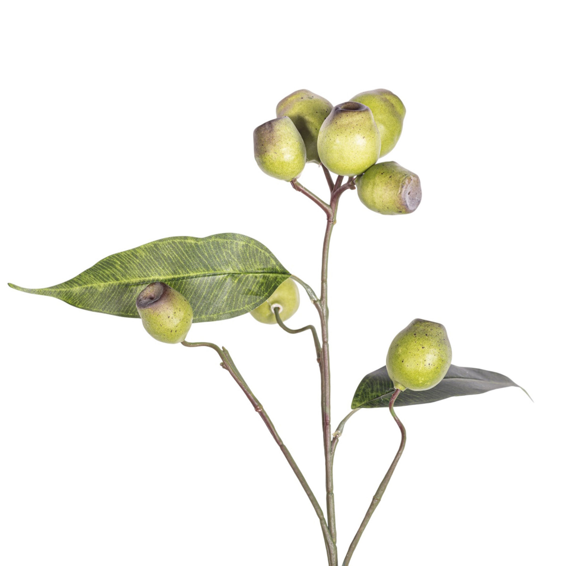 25" Eucalyptus Seed Spray Stem   ST1225