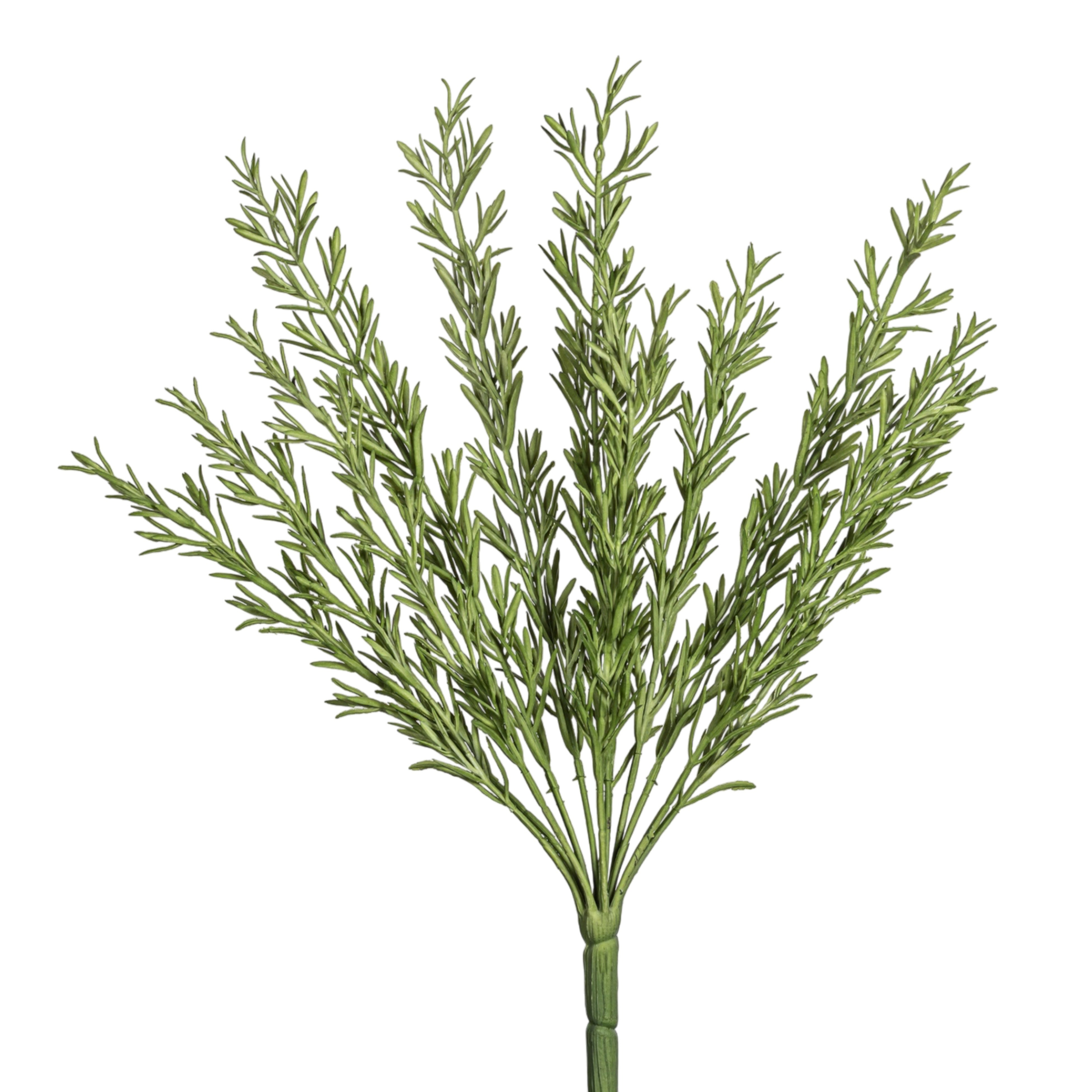 15.5" Rosemary Stem   ST1227