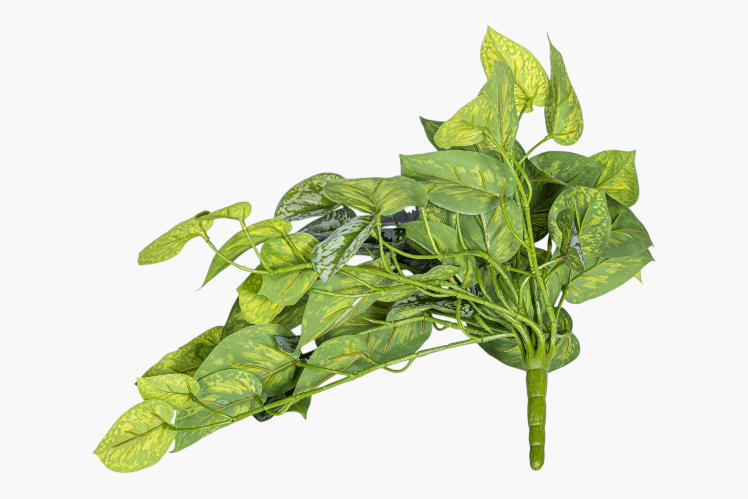 19" Hanging Pothos Stem Variegated - UV Treated ST1232UV
