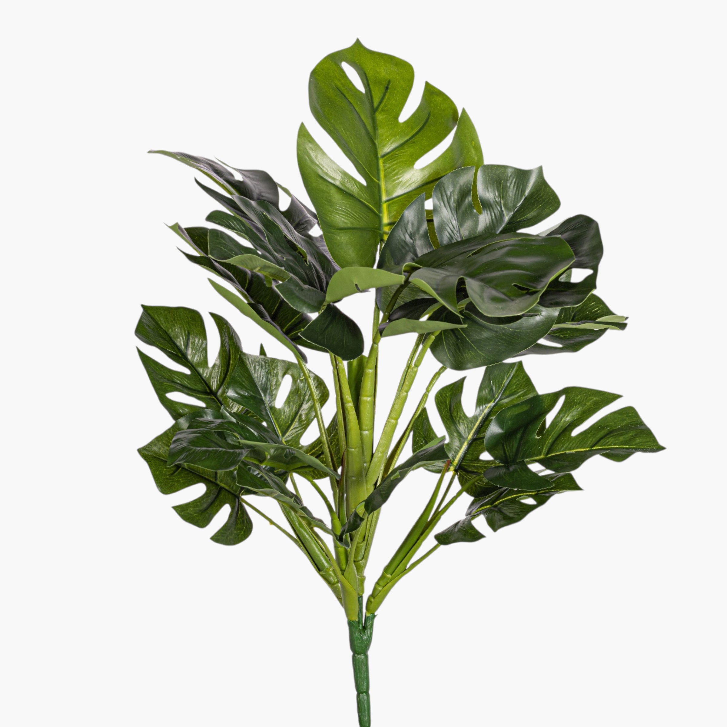 15" Monstera Bush Stem - UV Treated ST1238