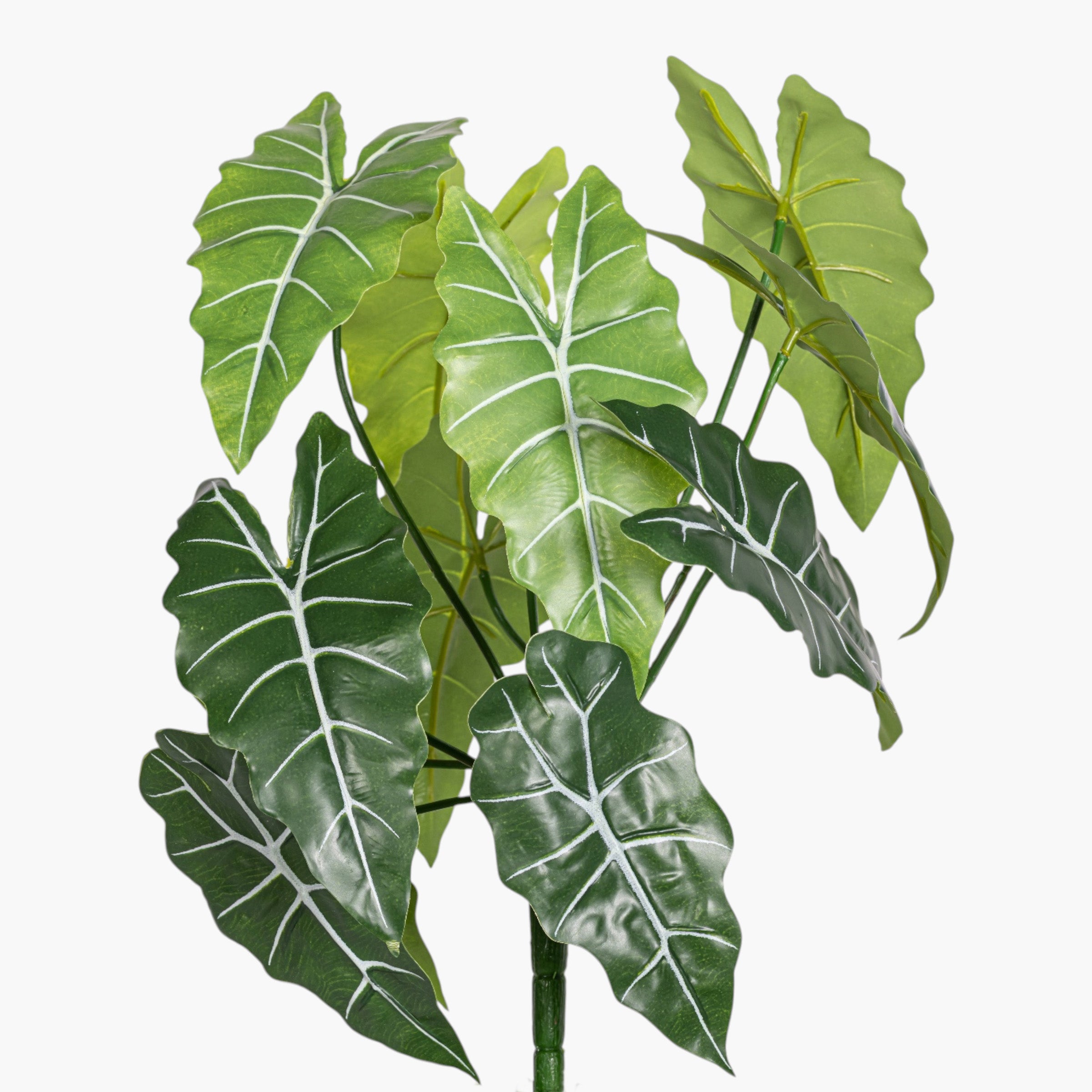 14.5" Alocasia Bush Stem - UV Treated ST1240