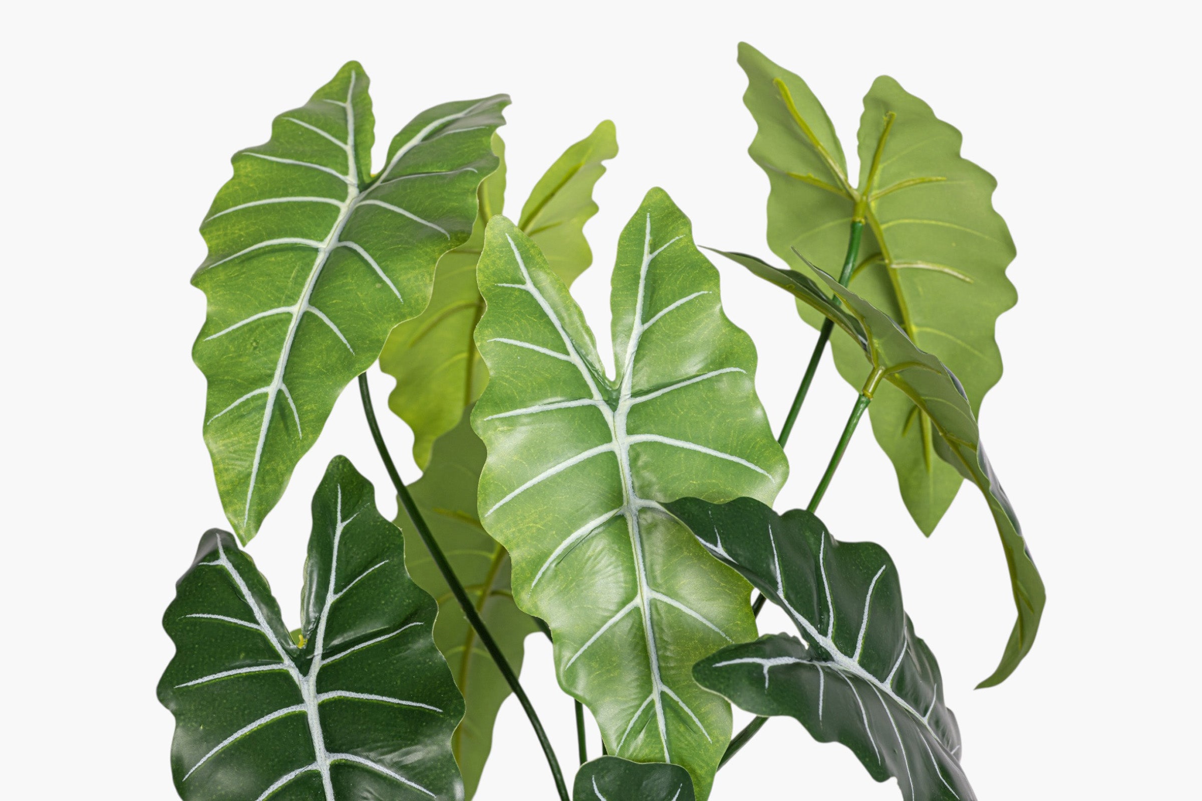 14.5" Alocasia Bush Stem - UV Treated ST1240