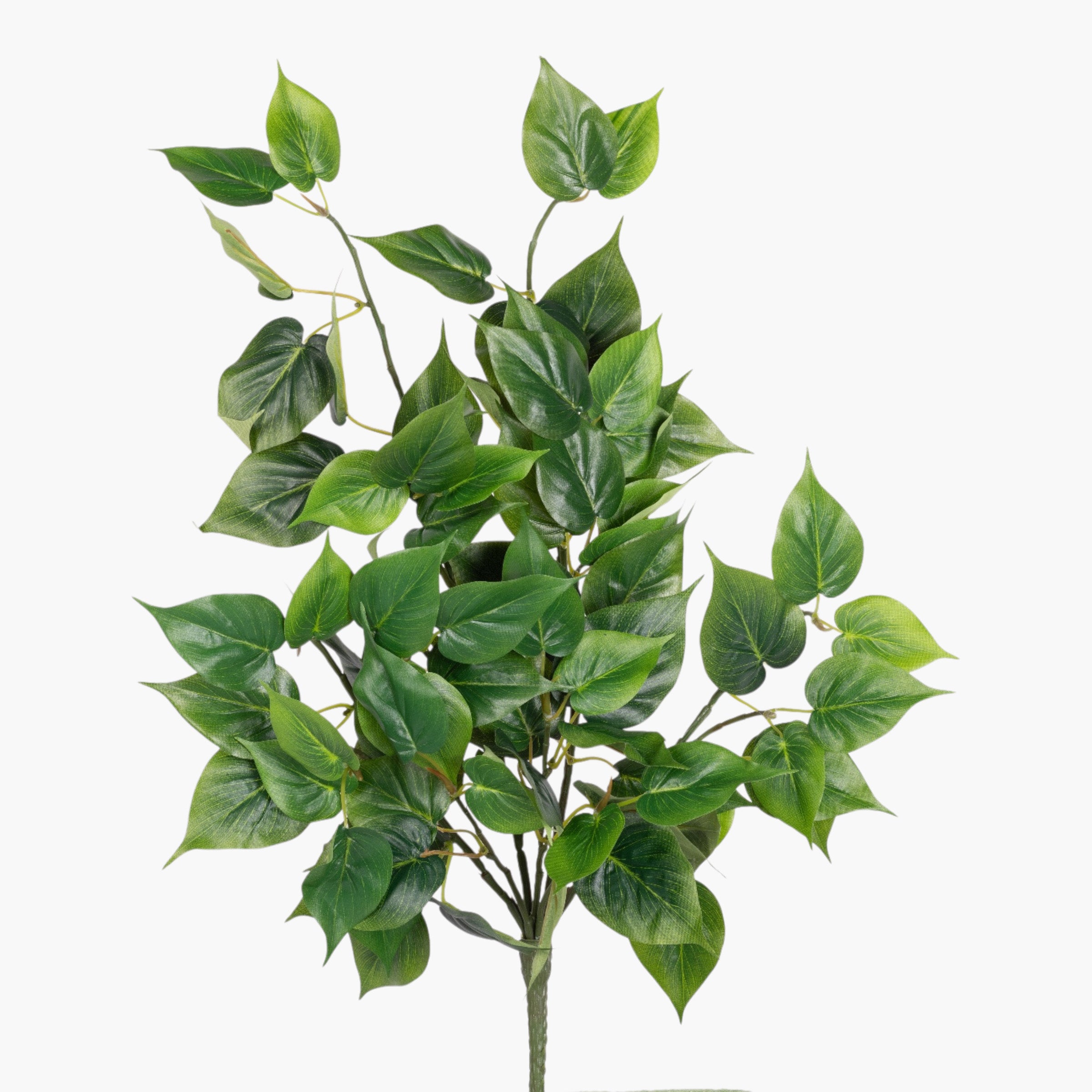 20" Philodendron Leaf Hanging Bush ST1244