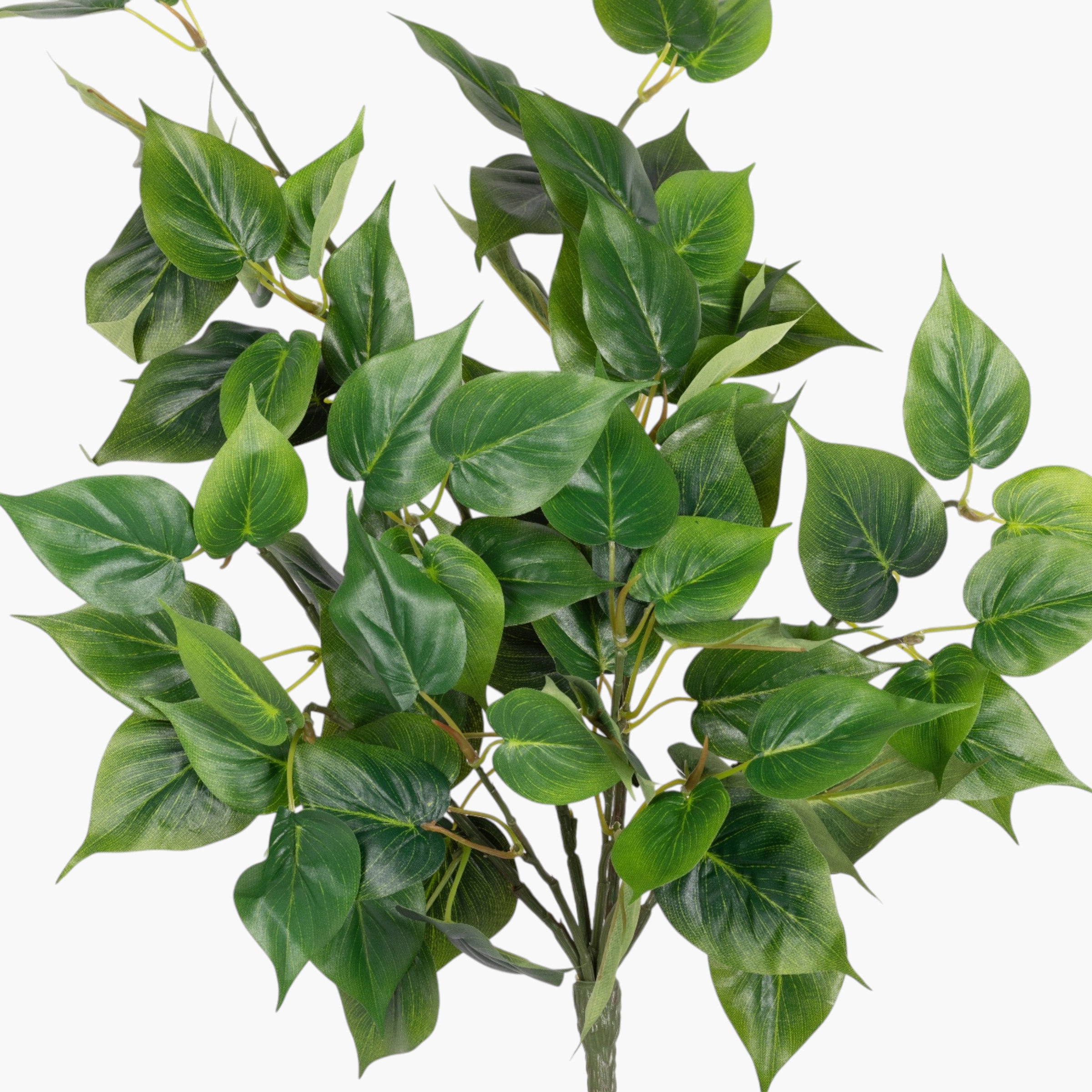 20" Philodendron Leaf Hanging Bush ST1244