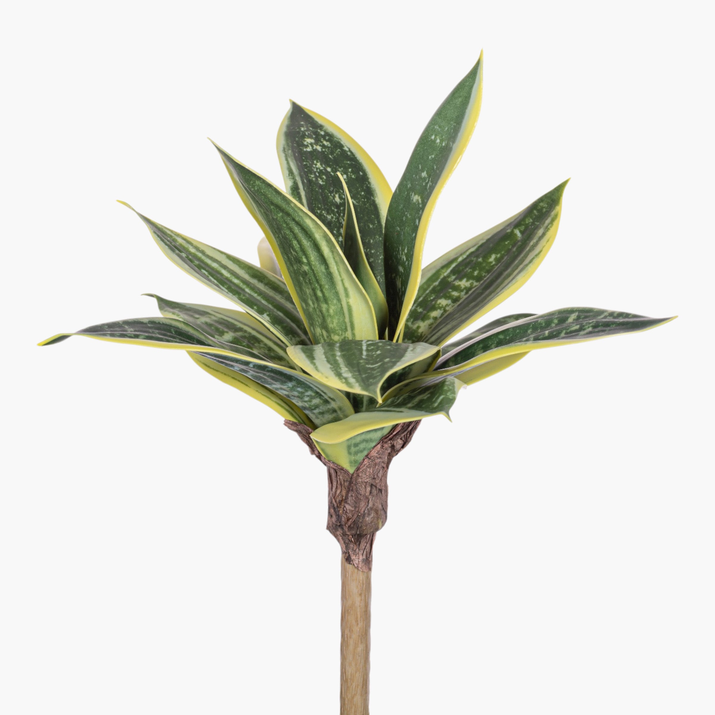 10" Sansevieria Stem ST1254