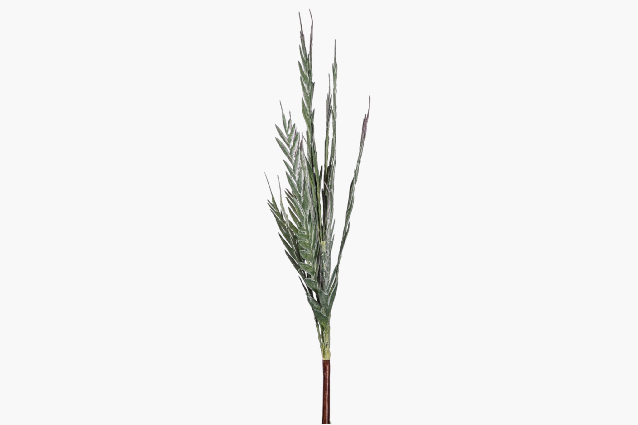 43" Grevillea Spray    ST1258