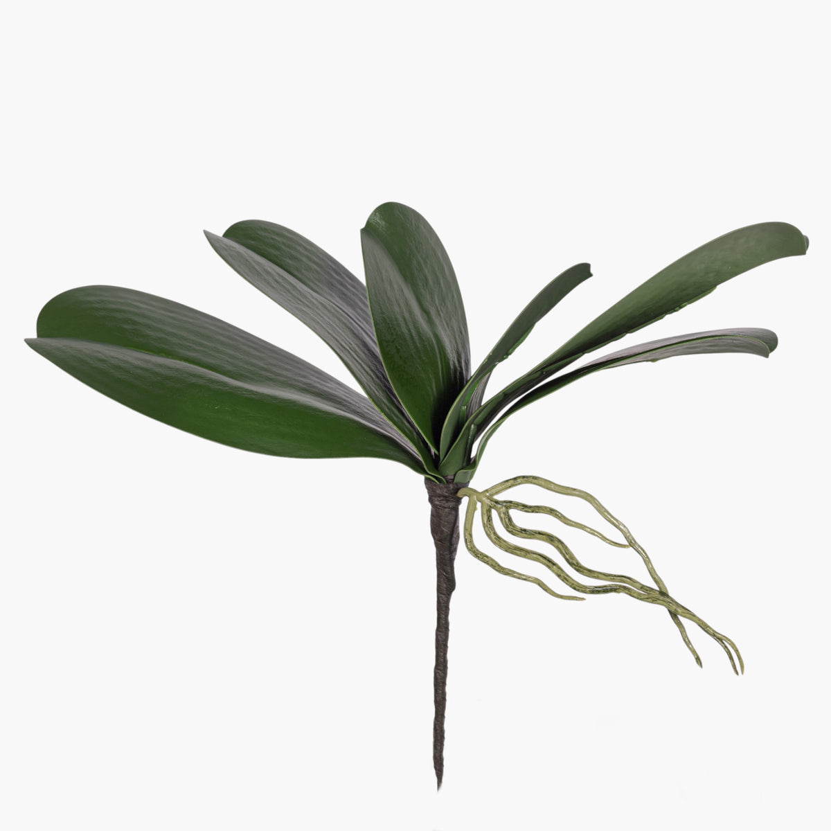 10" Orchid Leaves   ST1268
