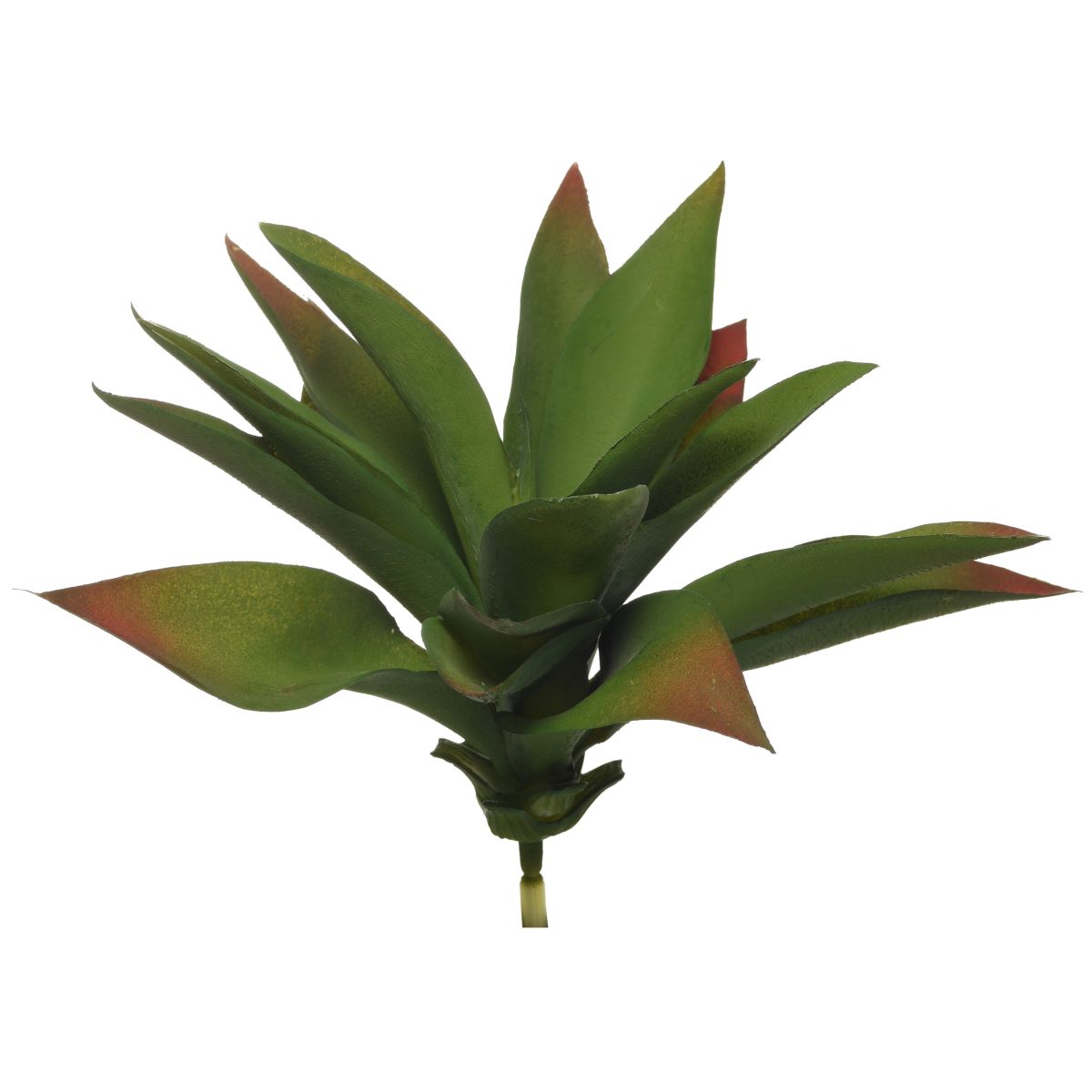 9" Green Agave Plant  SU1031