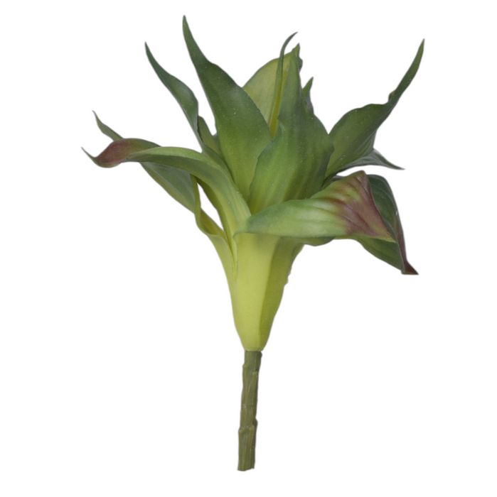 9" Succulent Green SU1045 Replica Plants and Decor