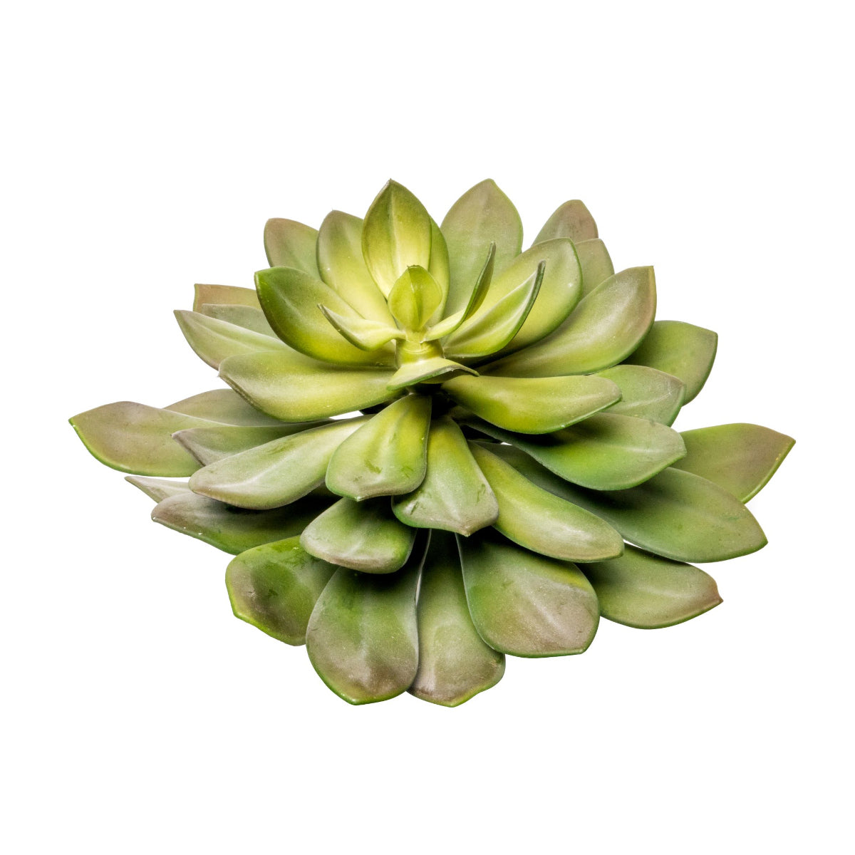 17” Succulent Stem   SU1061