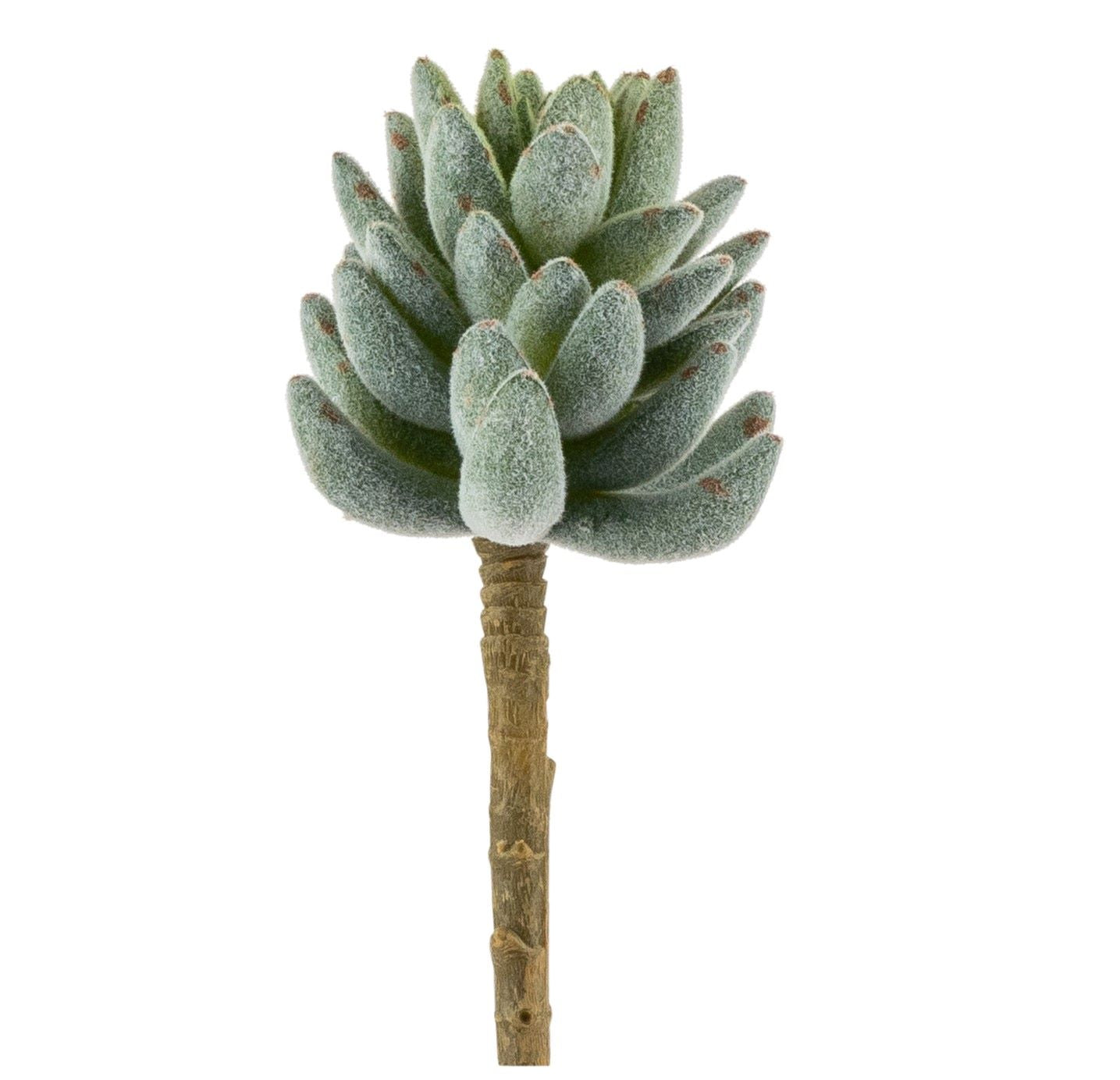 6" Flocked Succulent   SU1064