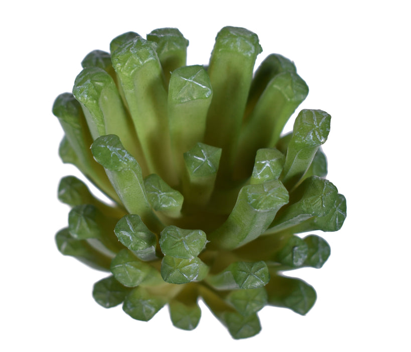 5" UV Protected Succulent Pick   SU1068UV