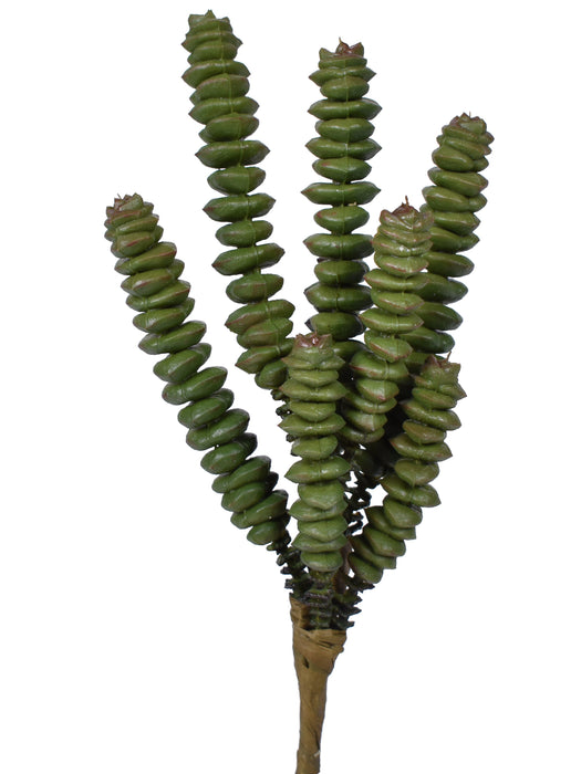 7.5" UV Protected Succulent Pick   SU1070UV