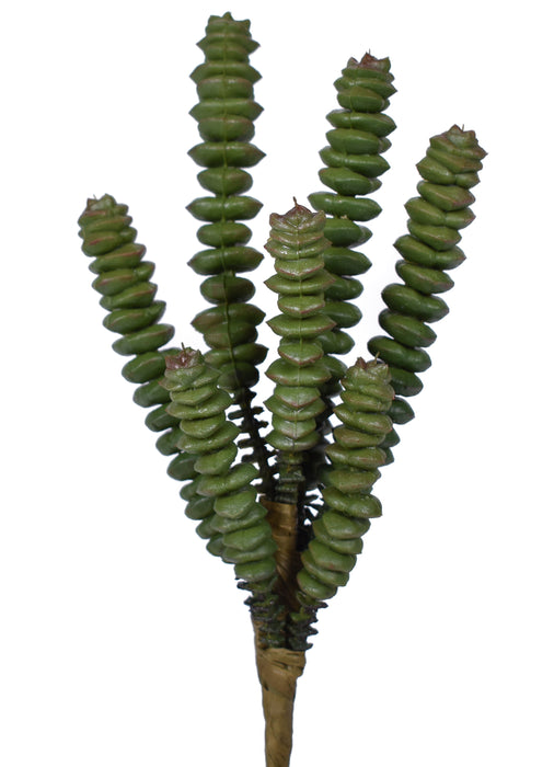 7.5" UV Protected Succulent Pick   SU1070UV