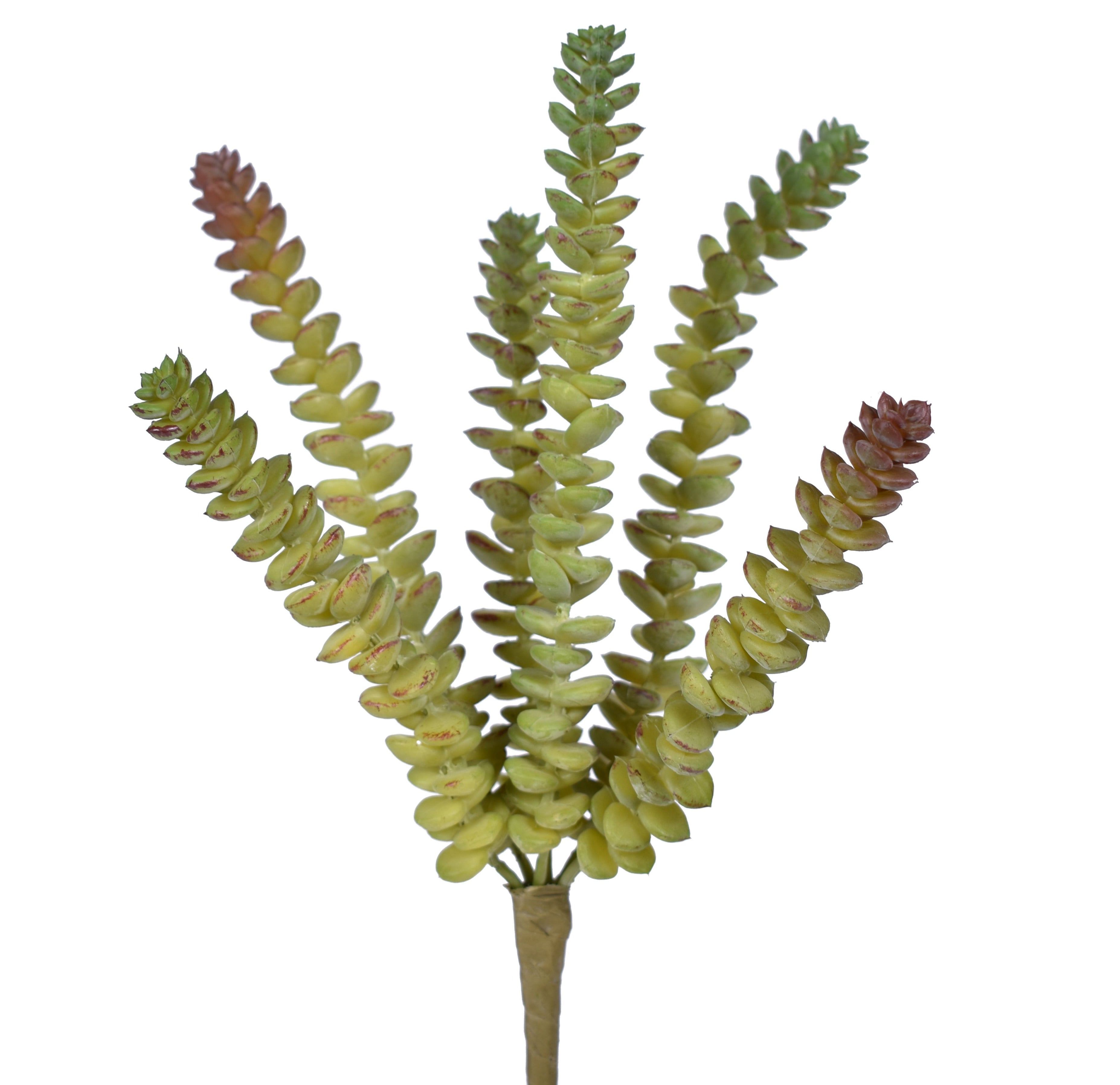 11" UV Protected Succulent Pick   SU1071UV