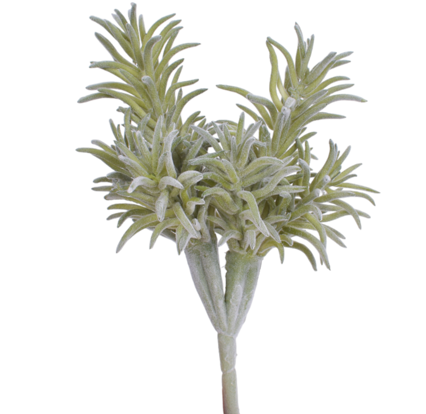 12" Succulent Stem - UV Treated   SU1076UV