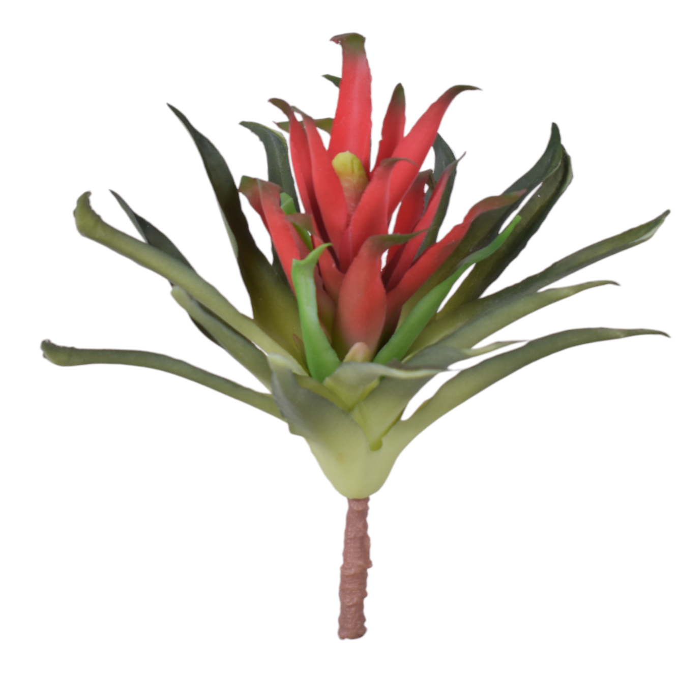 11” Red Succulent Stem   SU1079