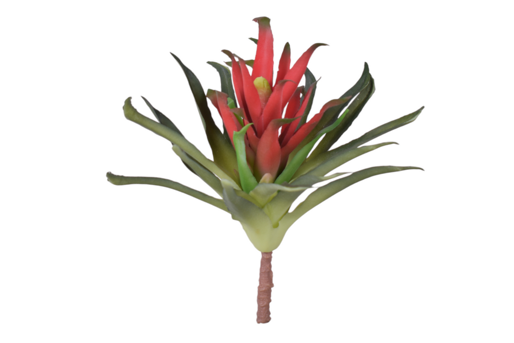 11” Red Succulent Stem   SU1079