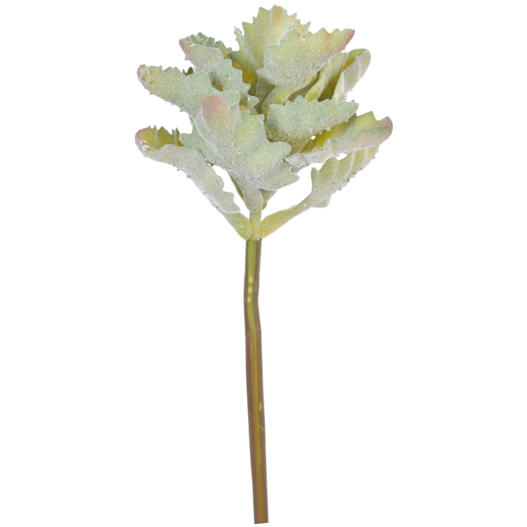 13” Succulent Stem  SU1082