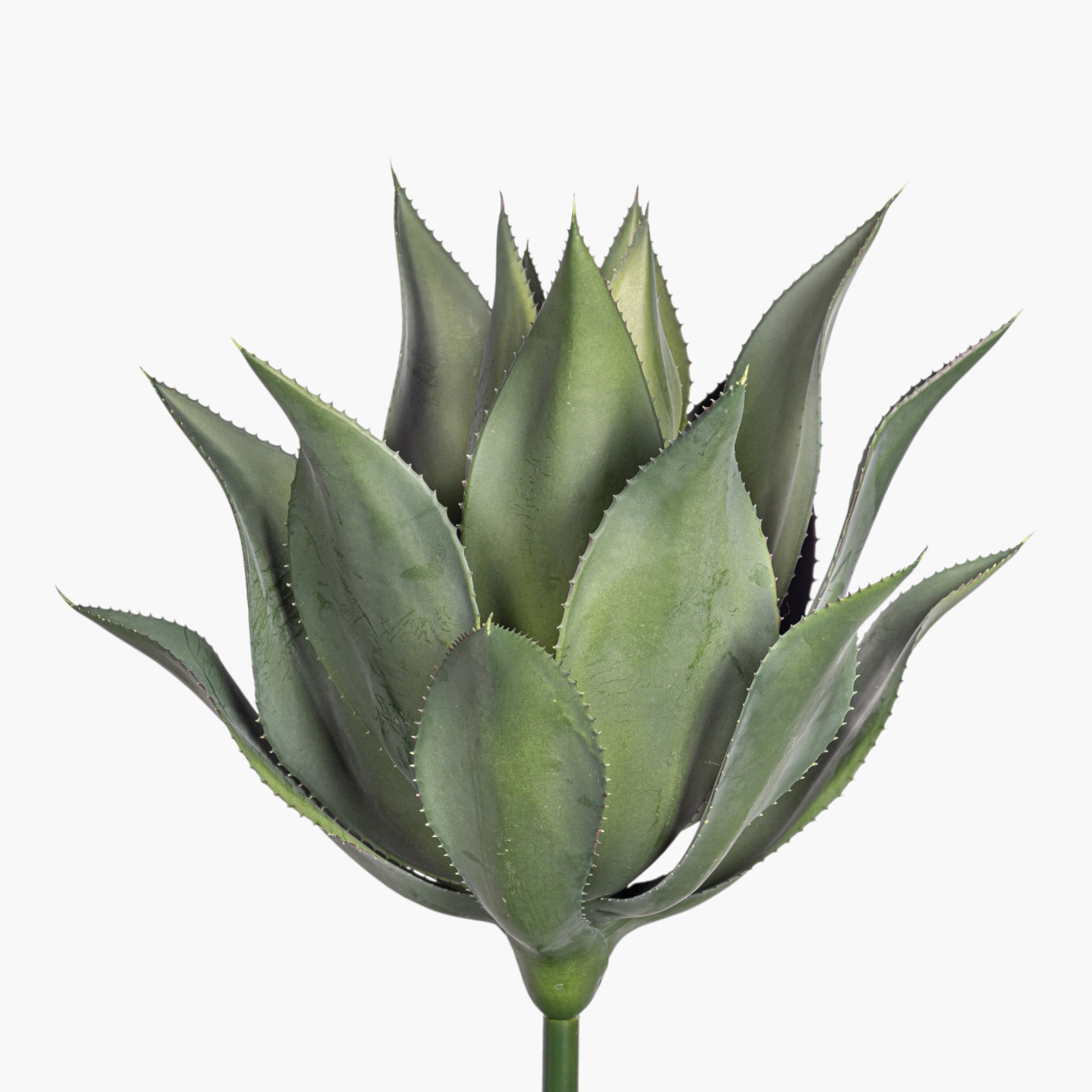 20" Crown Succulent Stem - UV Treated SU1100
