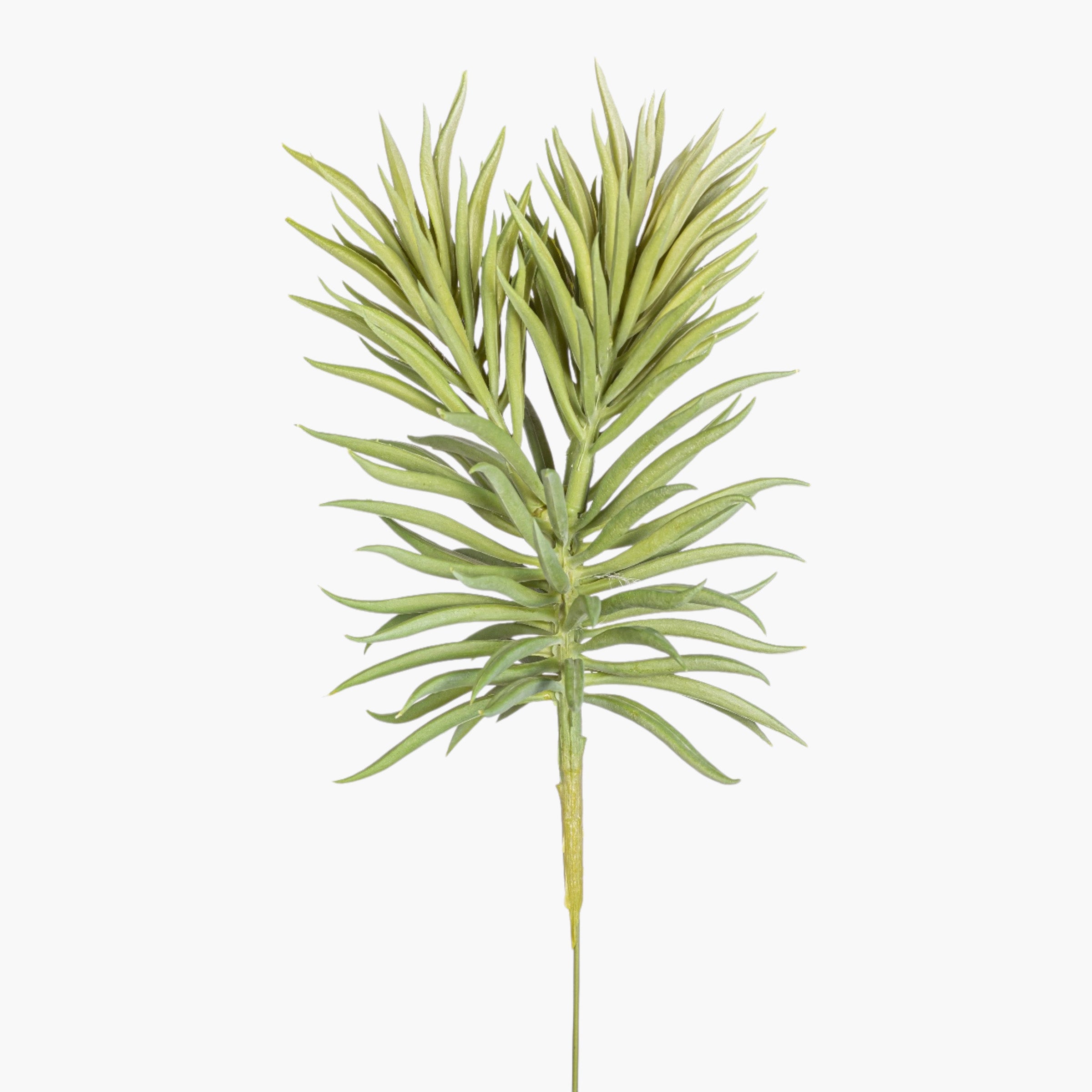 7" Succulent Stem - UV Treated SU1101