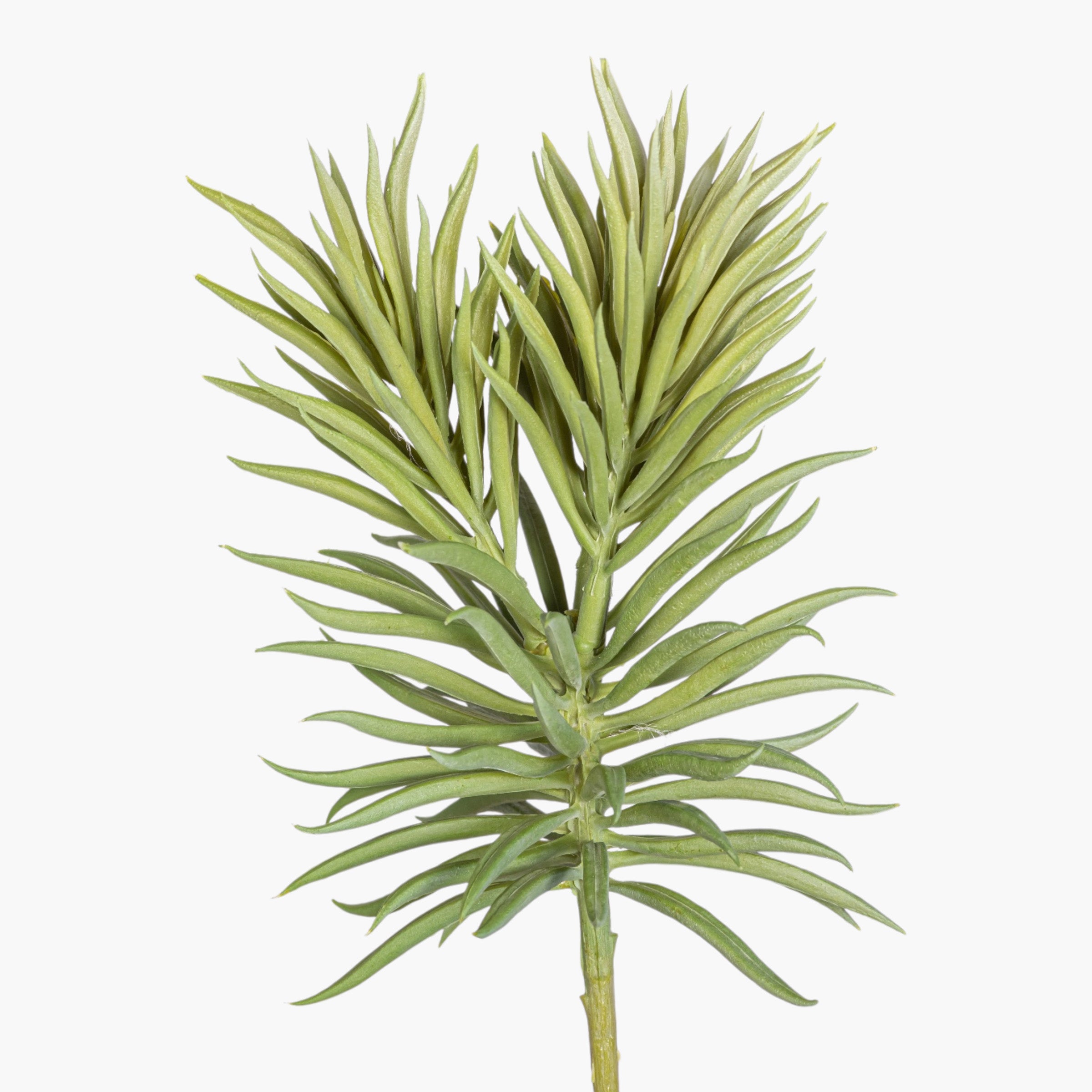 7" Succulent Stem - UV Treated SU1101
