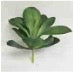 10” Succulent Stem SU1105