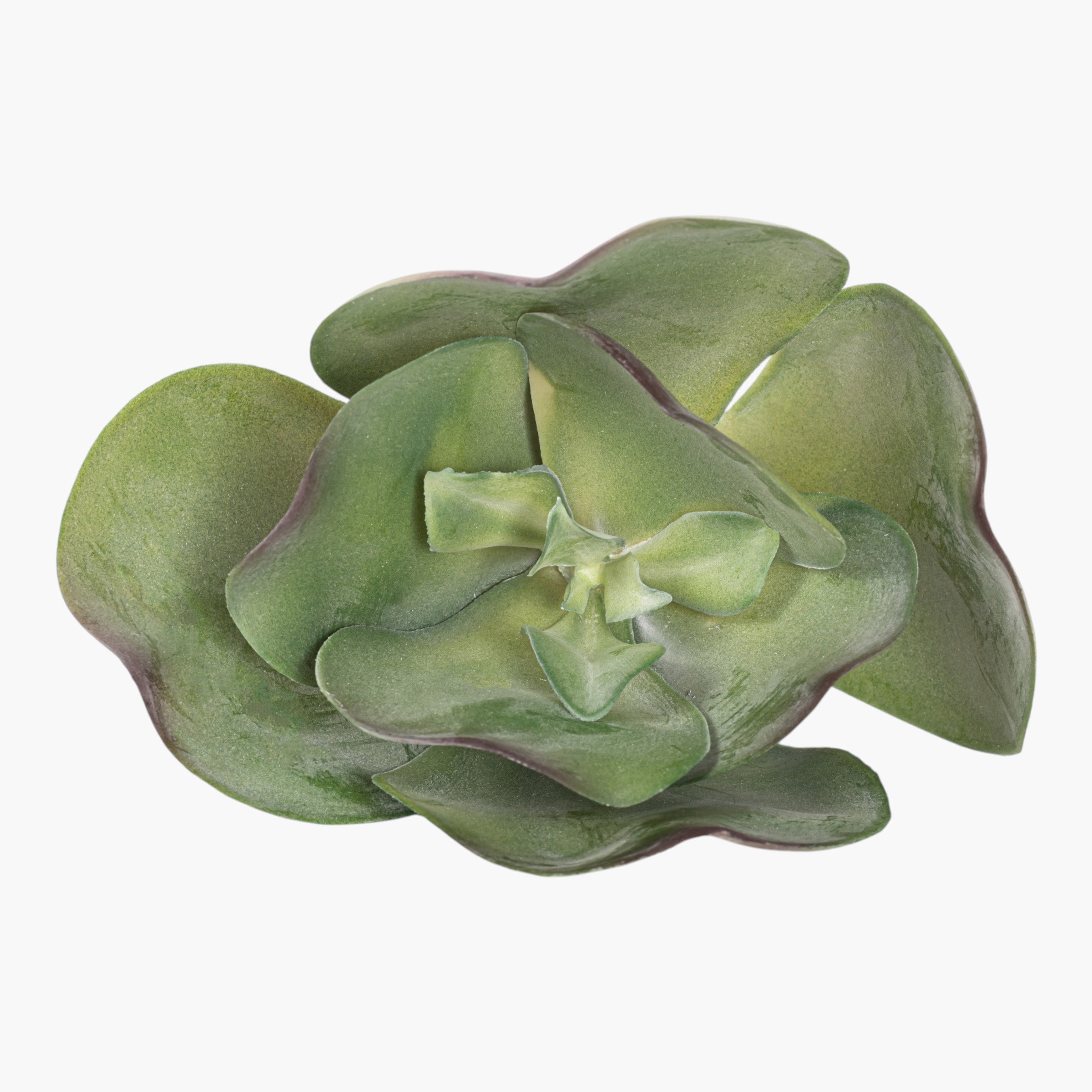 10" Succulent Stem SU1107
