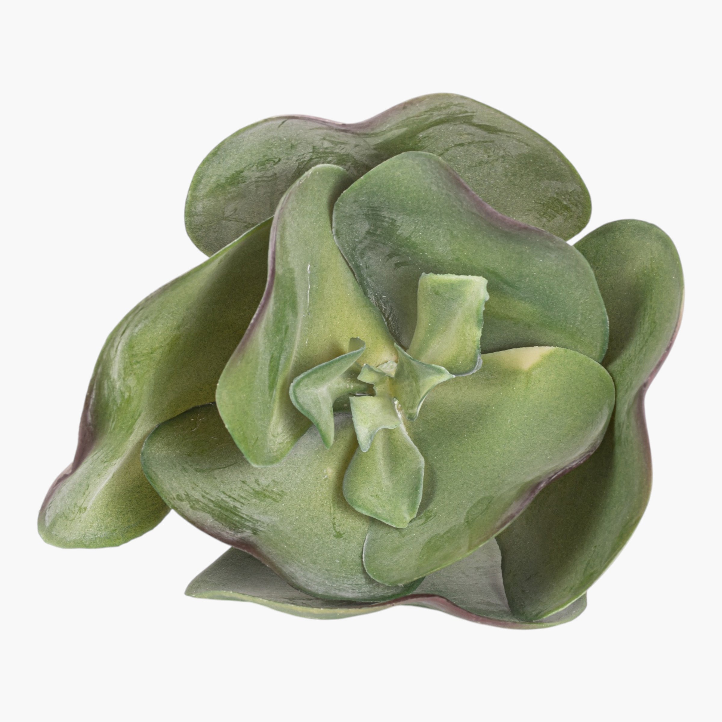 10" Succulent Stem SU1107